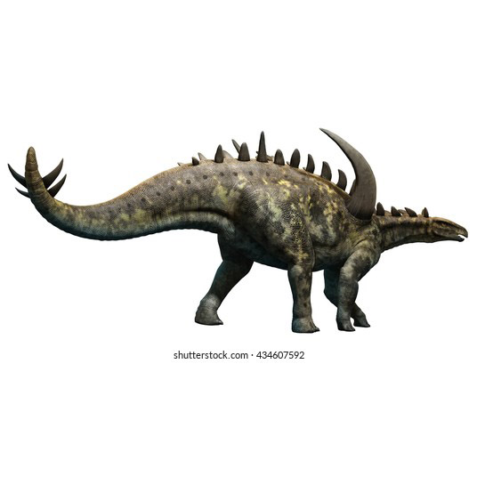 Paleo Bites