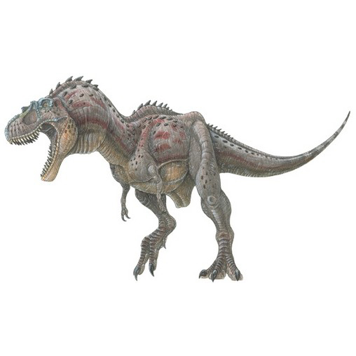 Paleo Bites
