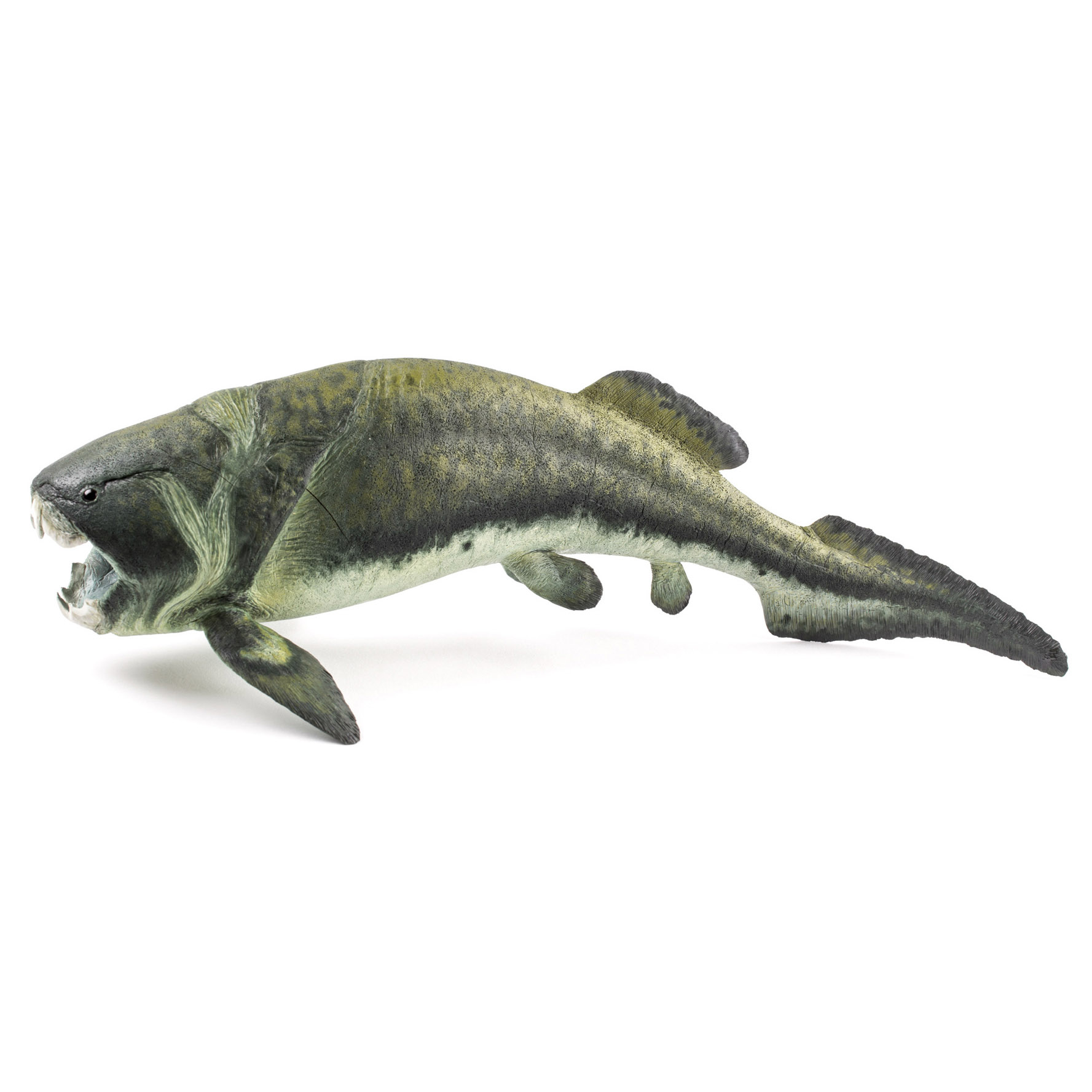 Paleo Bites