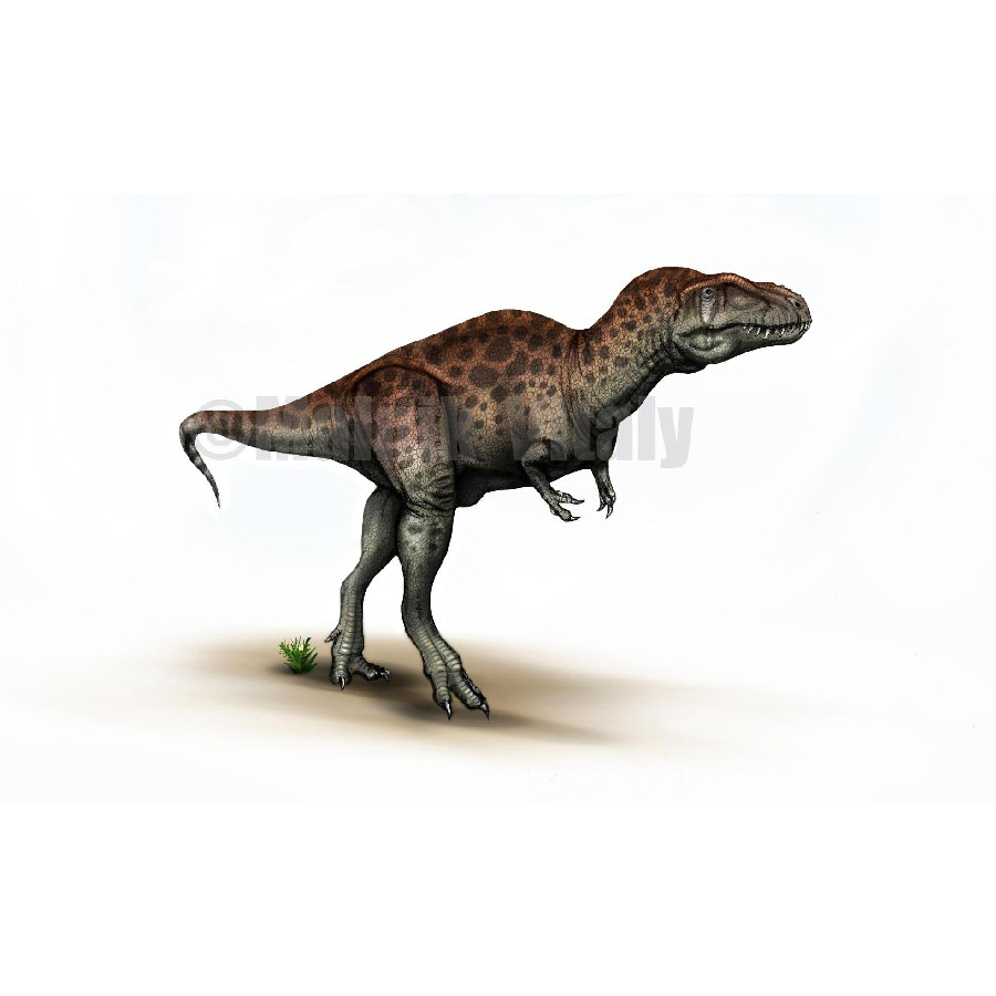 Paleo Bites