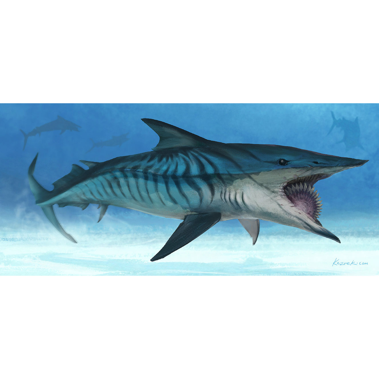 Paleo Bites