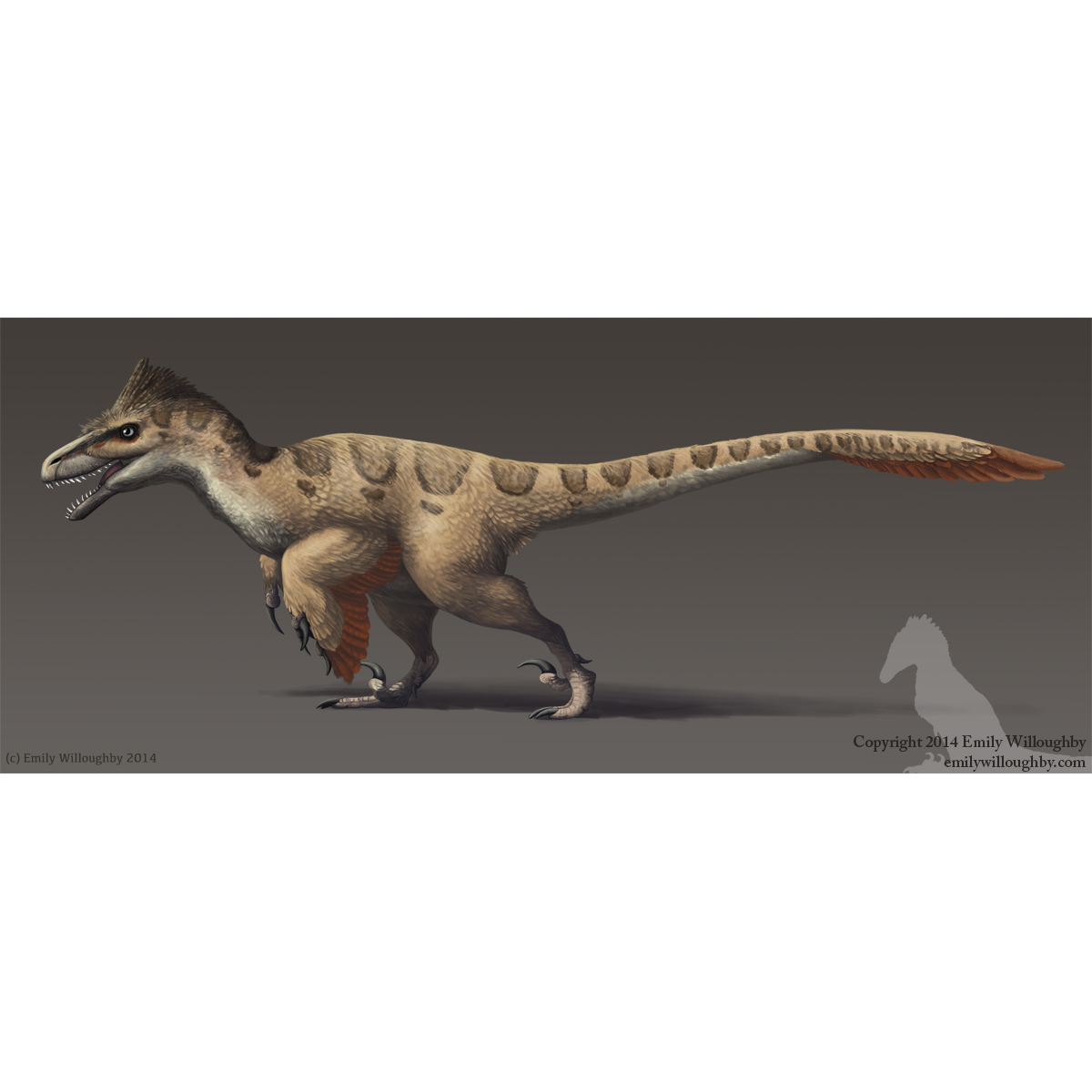 Paleo Bites