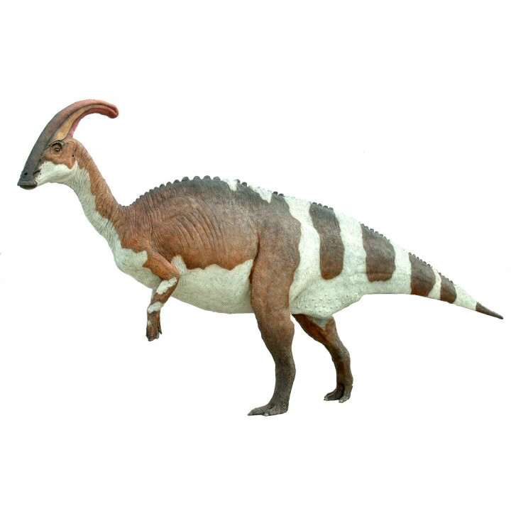 Paleo Bites