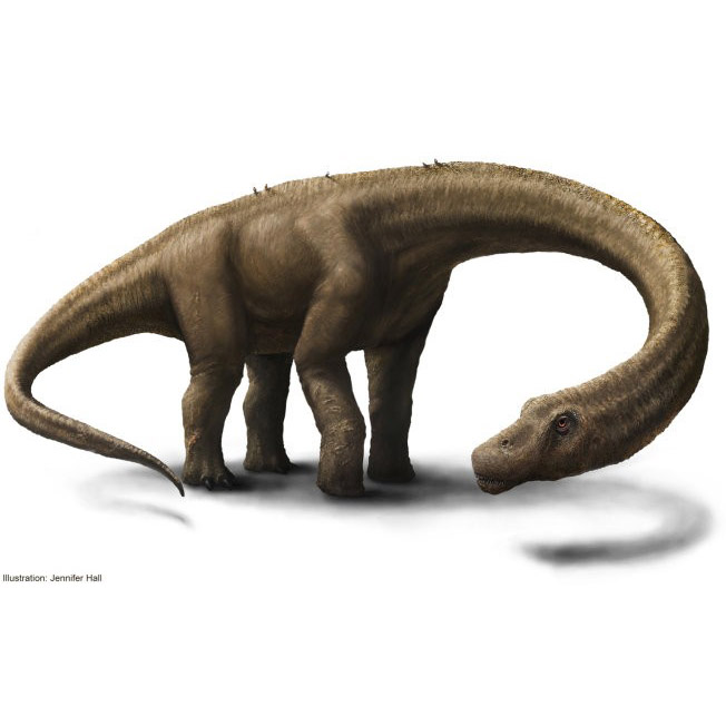 Paleo Bites