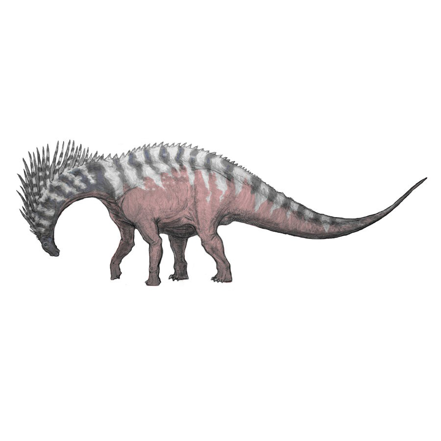 Paleo Bites