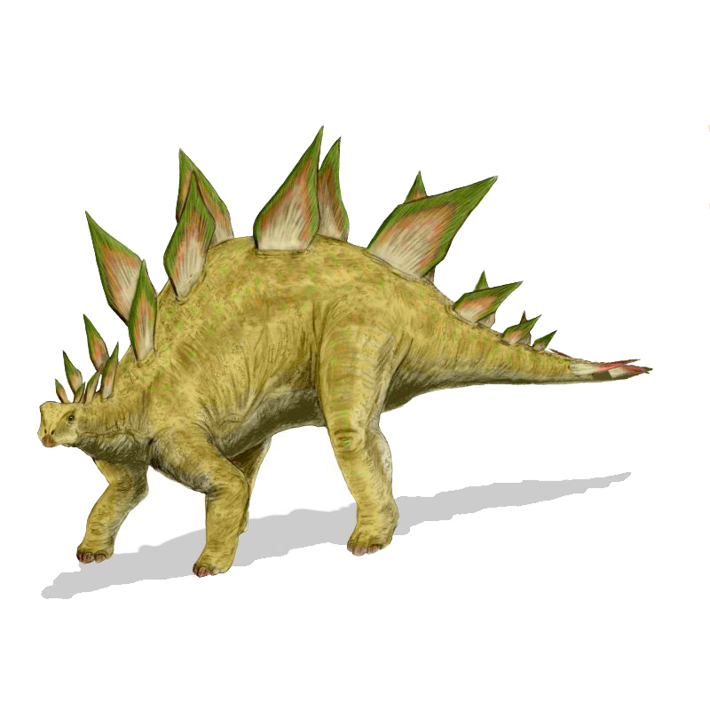 Paleo Bites