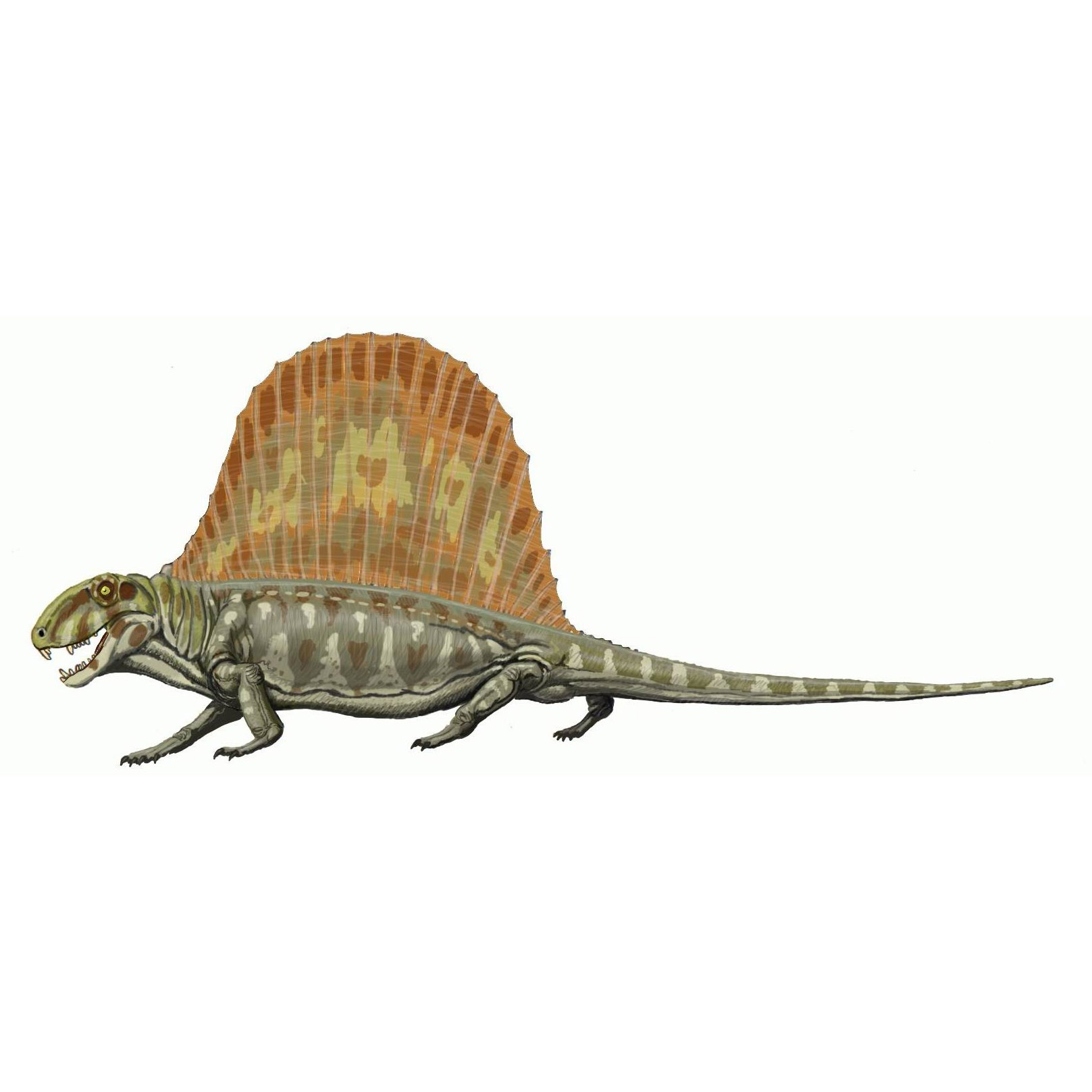 Paleo Bites