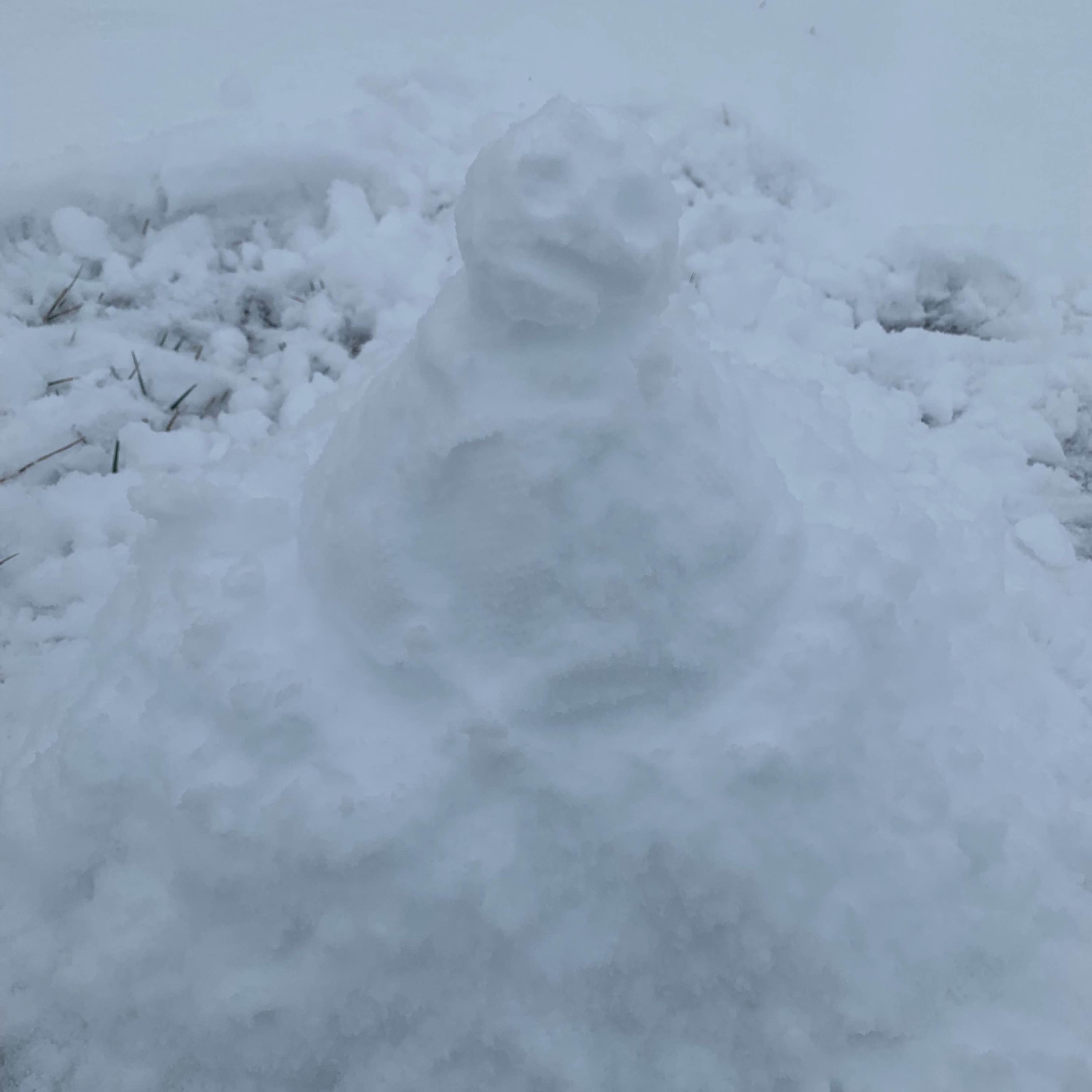 Episode 585: Walking In the Snow