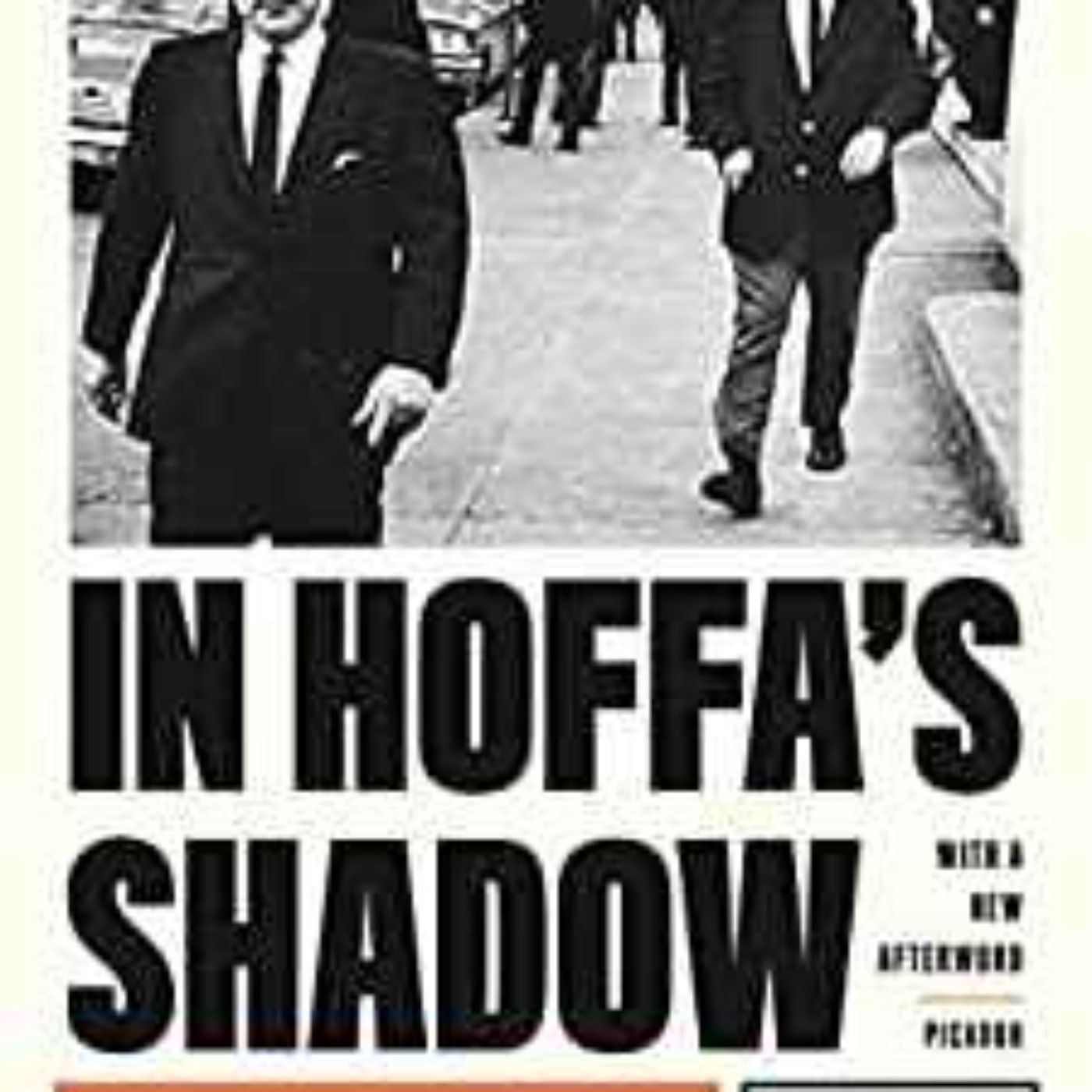 Jack L. Goldsmith - In Hoffa's Shadow: A Stepfather, a Disappearance in Detroit, and My Search for the Truth