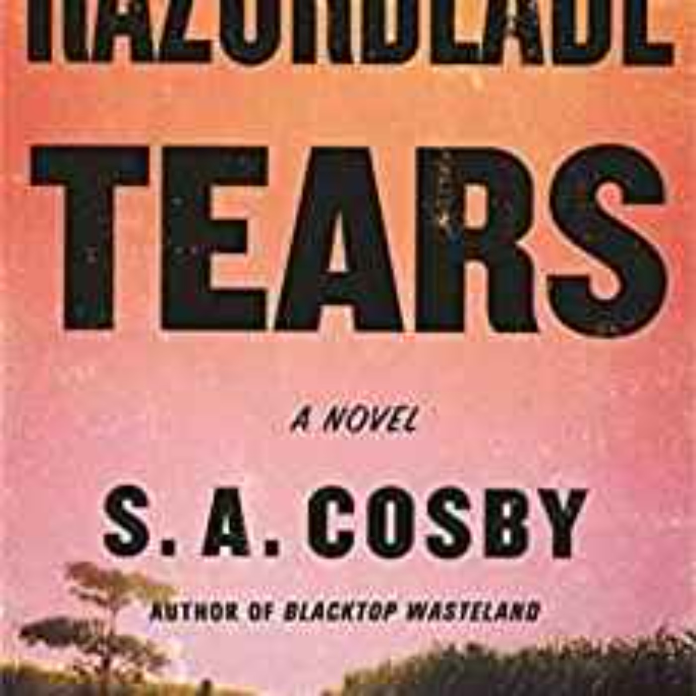 S.A. Cosby - Razorblade Tears