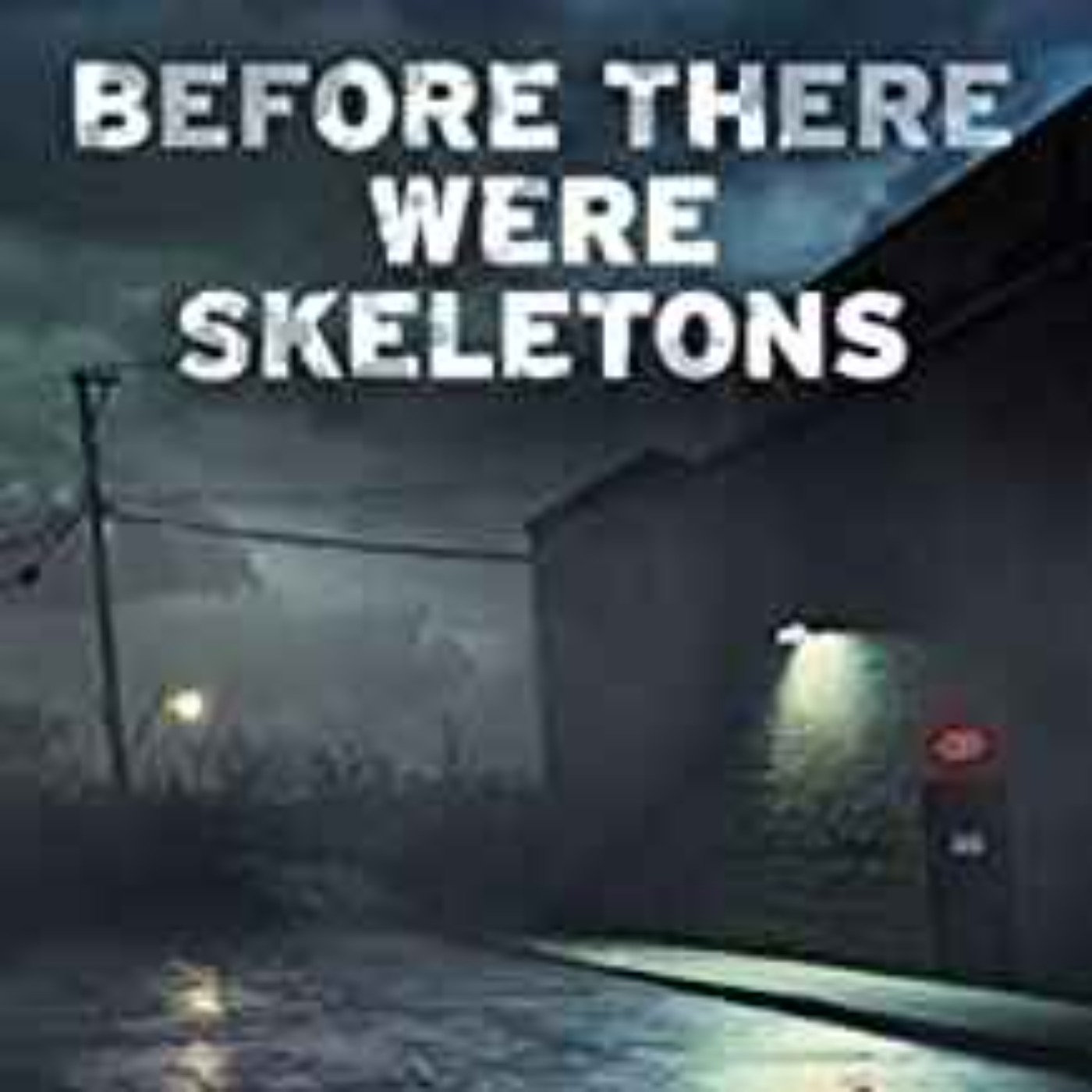 Judy Penz Sheluk - Before There Were Skeletons episode artwork