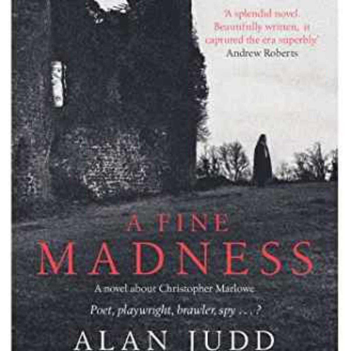Alan Judd - A Fine Madness
