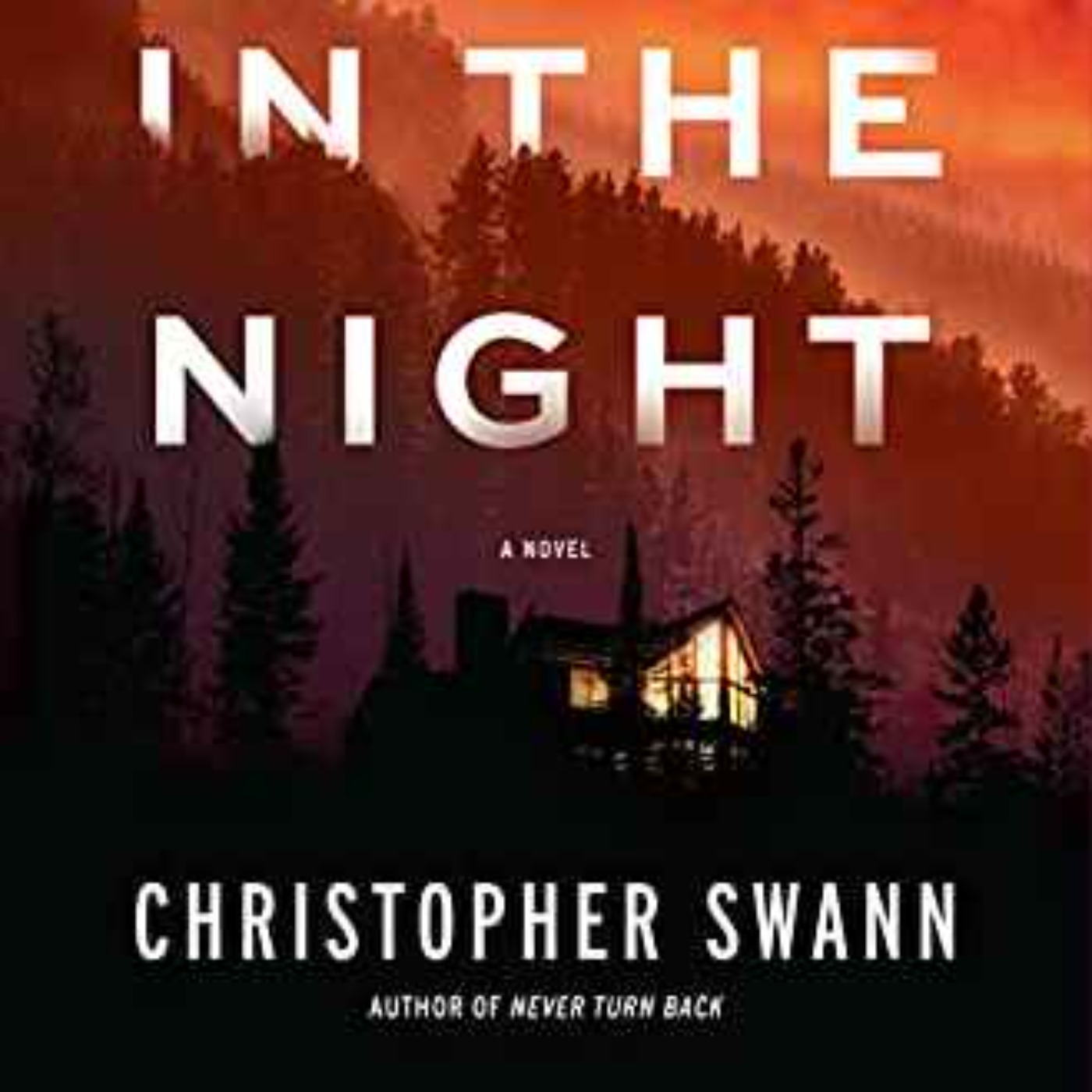 Christopher Swann - A Fire in the Night episode artwork