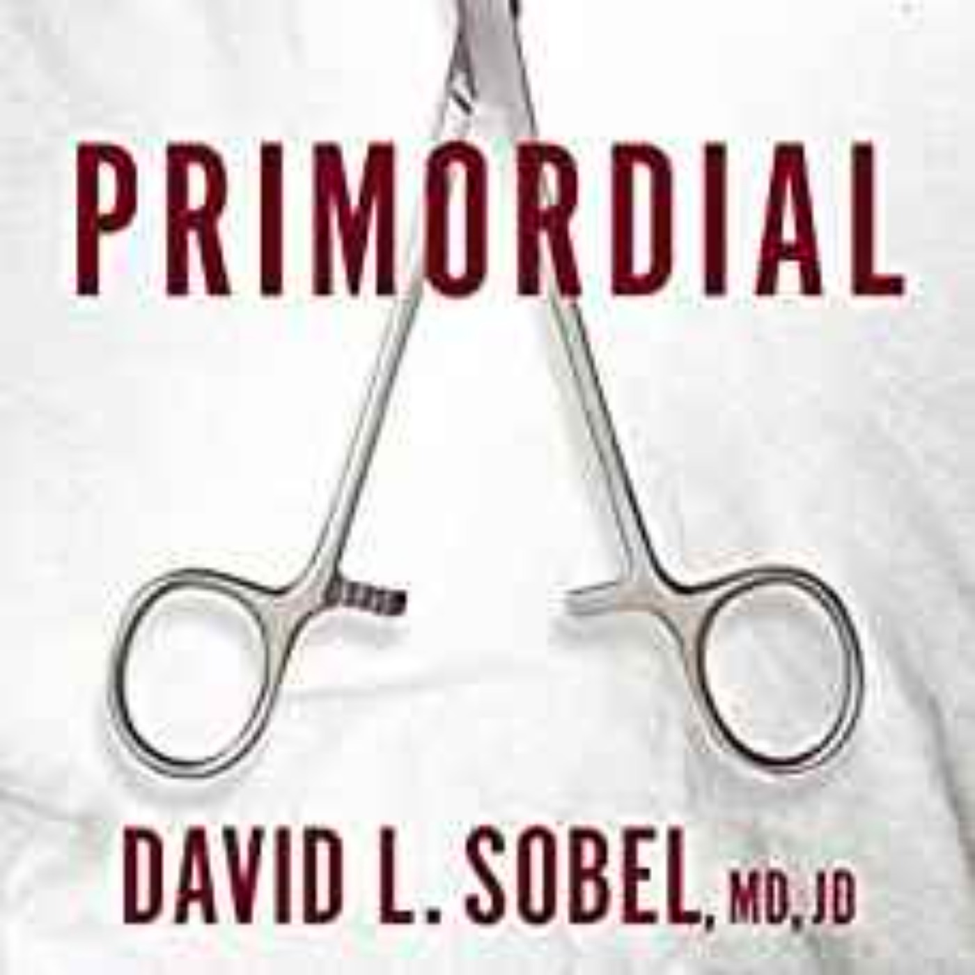 David Sobel - Primordial episode artwork