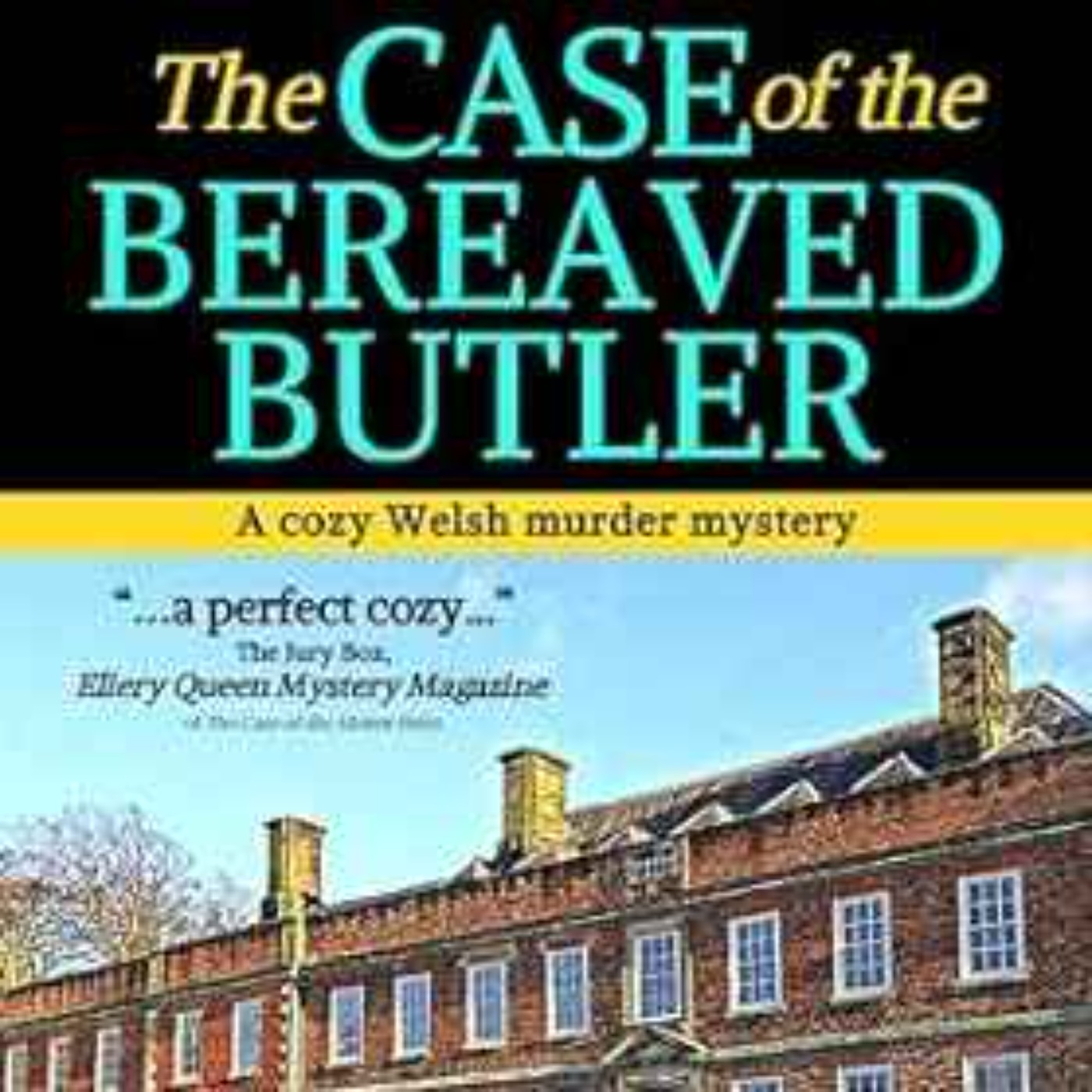 Cathy Ace - Case of the Bereaved Butler ( WISE Enquiries Agency Mysteries Book 9)
