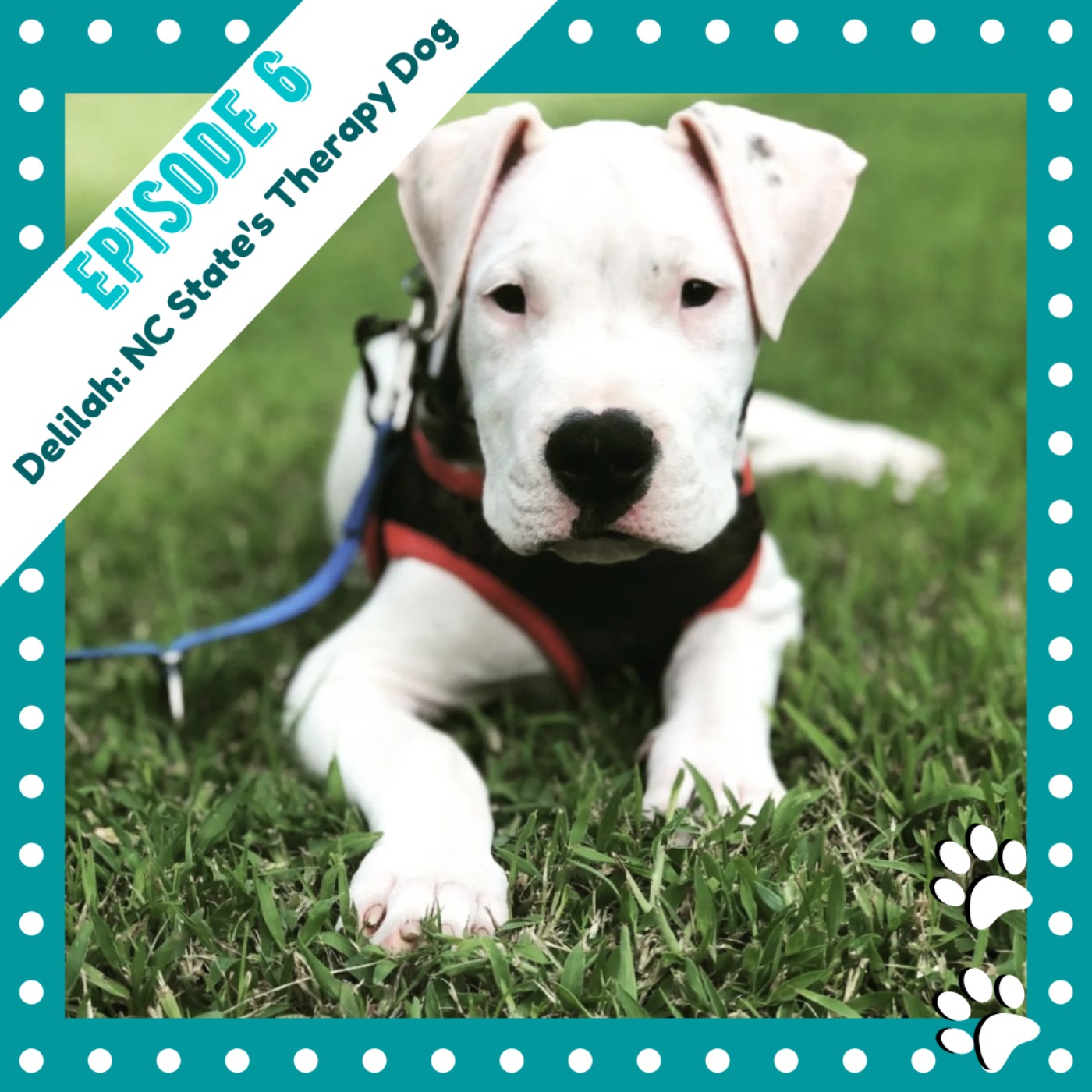Puppy Dog Tales