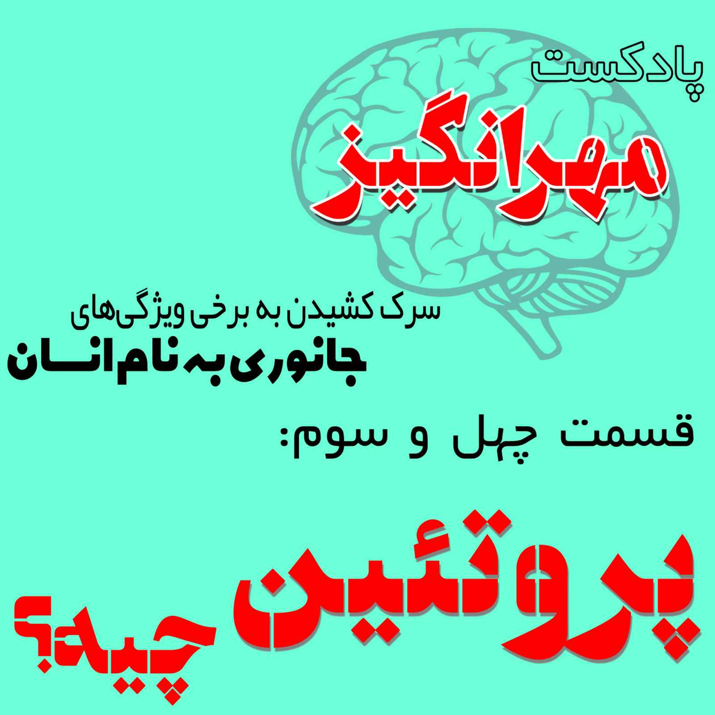 قسمت چهل و سوم: پروتئین چیه؟