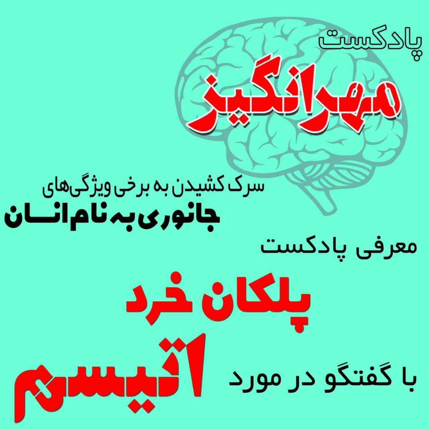 معرفی پادکست پلکان خرد با گفتگو در مورد اتیسم