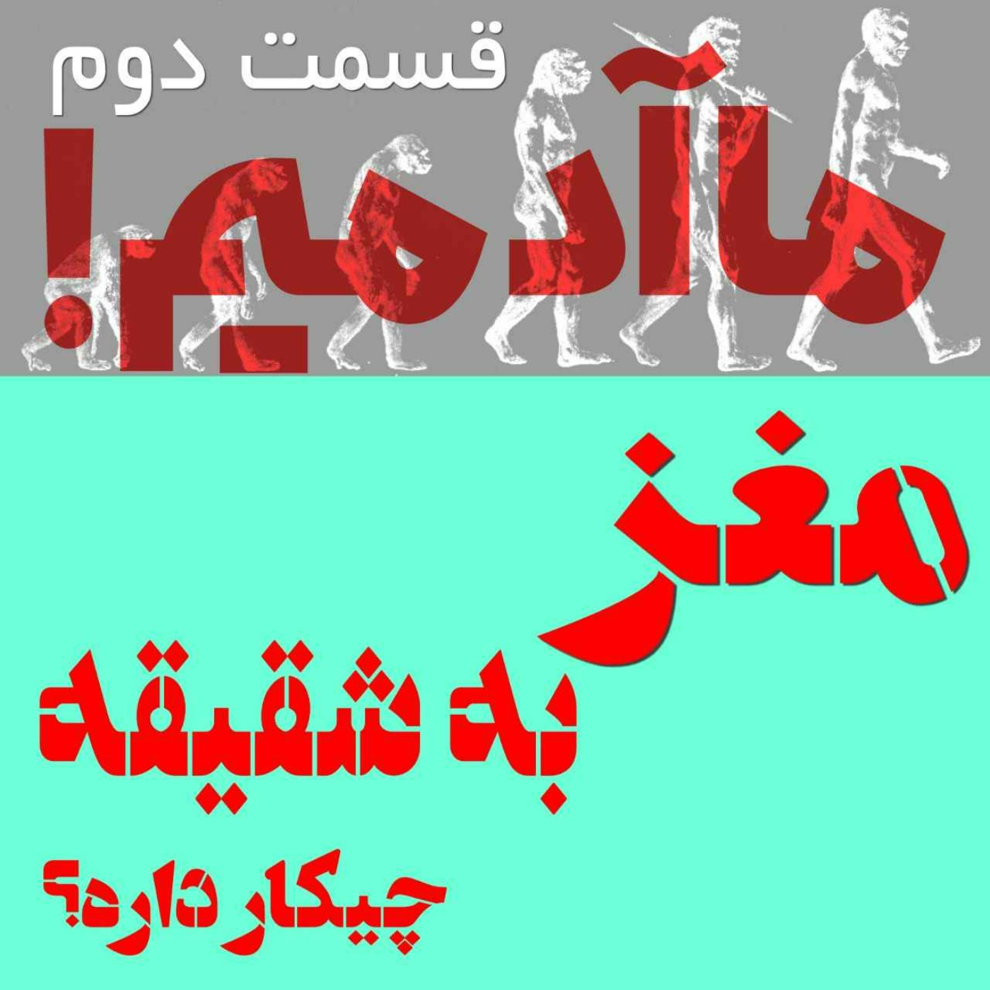 ما آدمیم/قسمت دوم: مغز به شقیقه چیکار داره؟