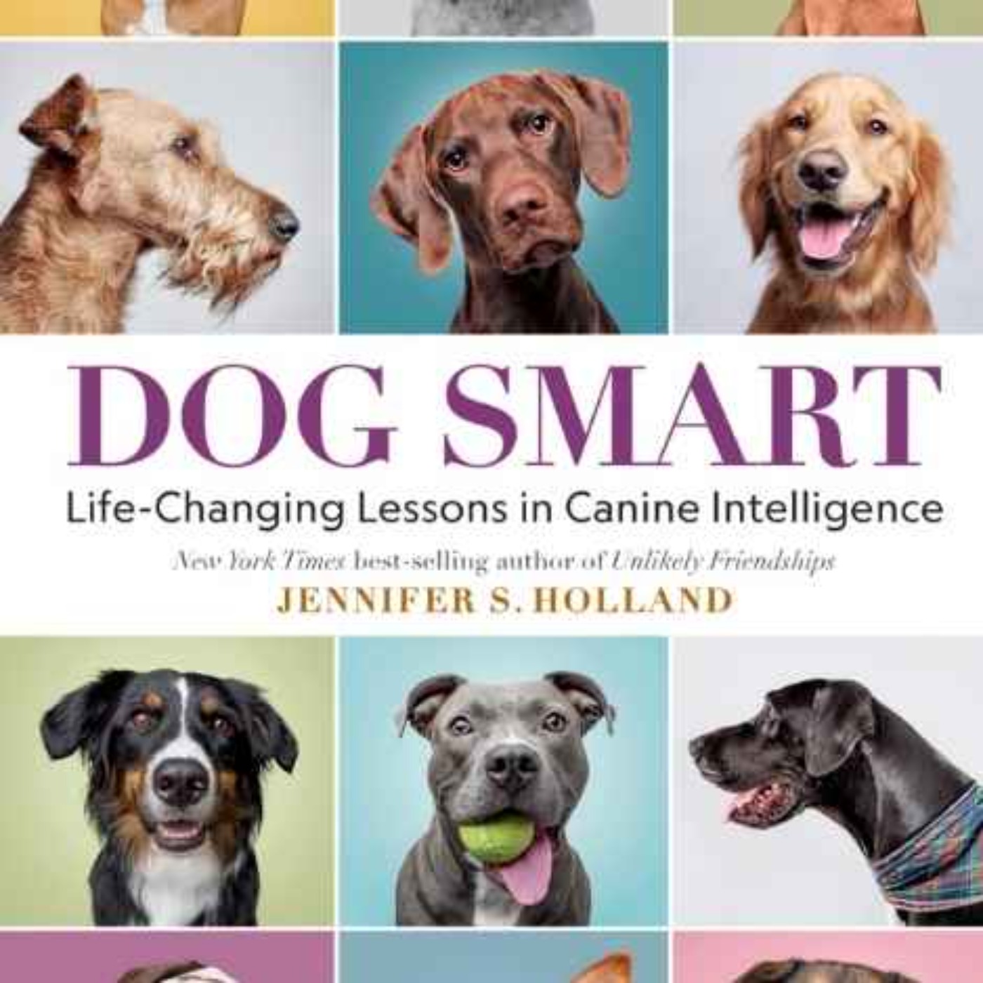 How Smart Are Our Dogs? episode artwork