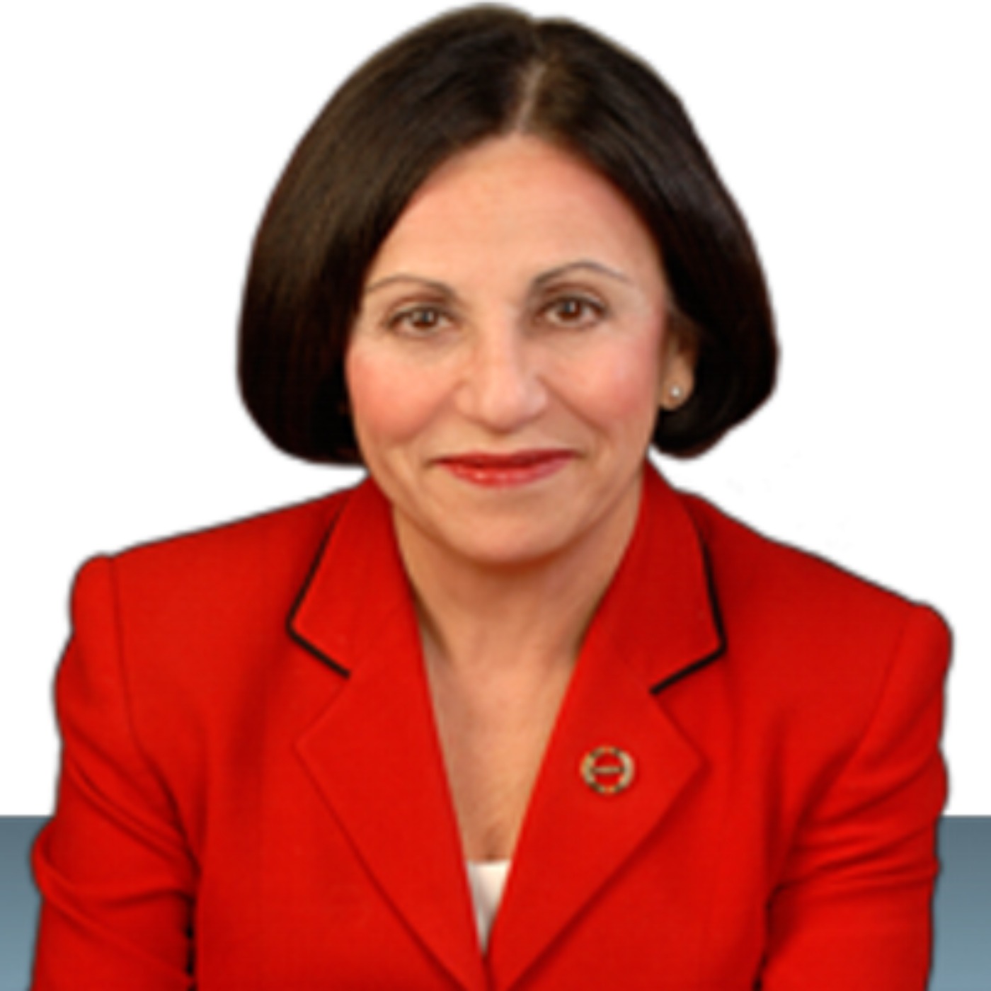 The Lisa Wexler Show