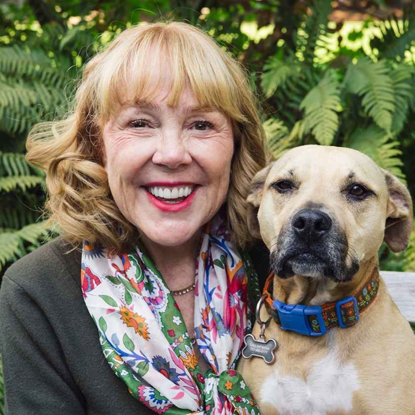 The Lisa Wexler Show