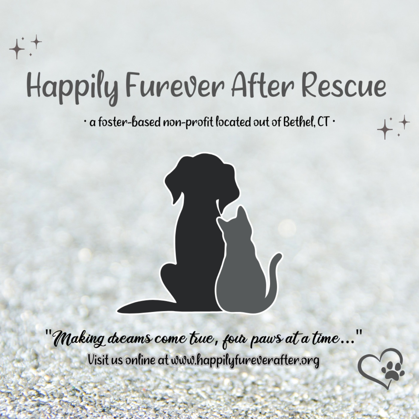Jaclyn Gartner Saved 750 Pets from Shelters episode artwork
