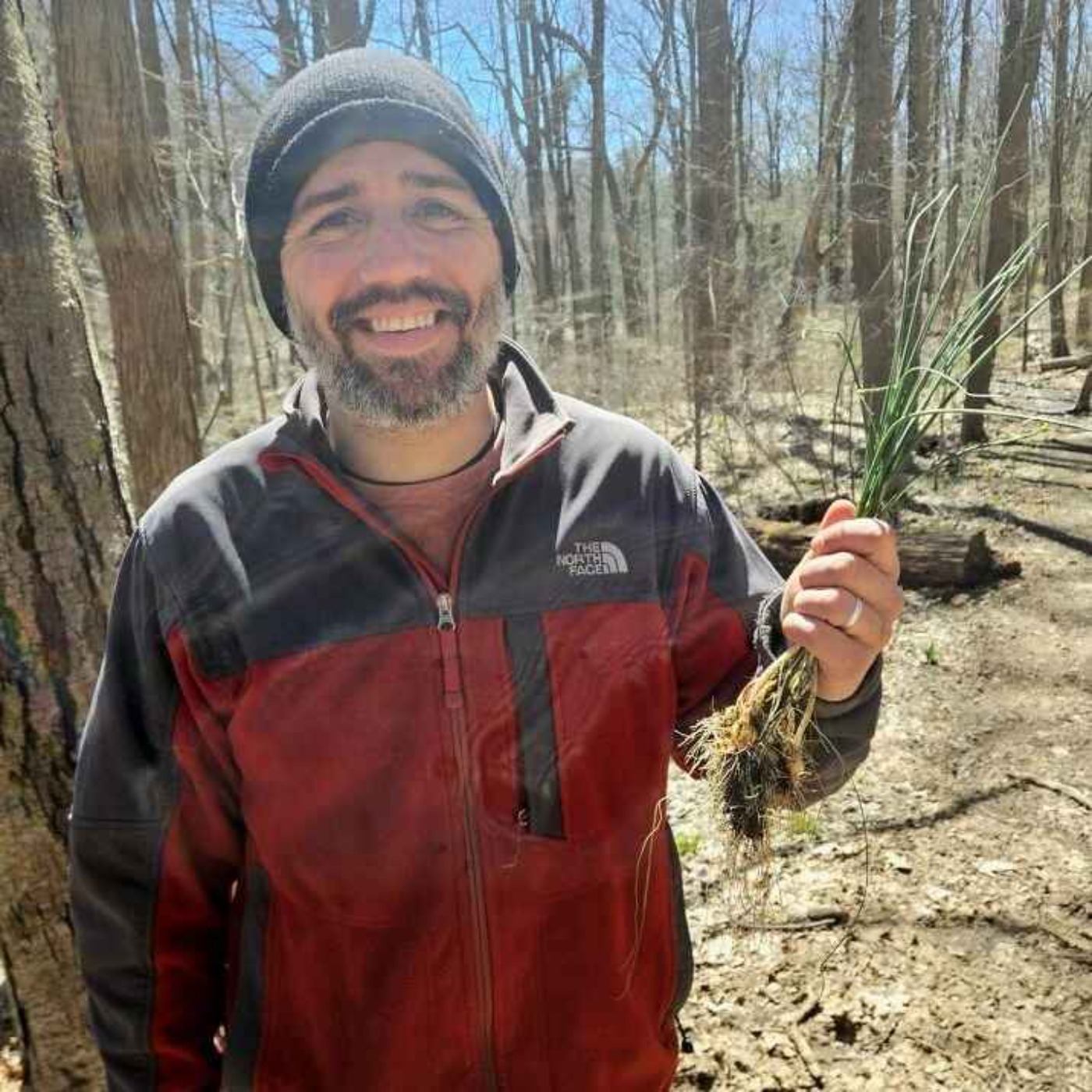 Backyard Foraging - Learn What's Edible! episode artwork