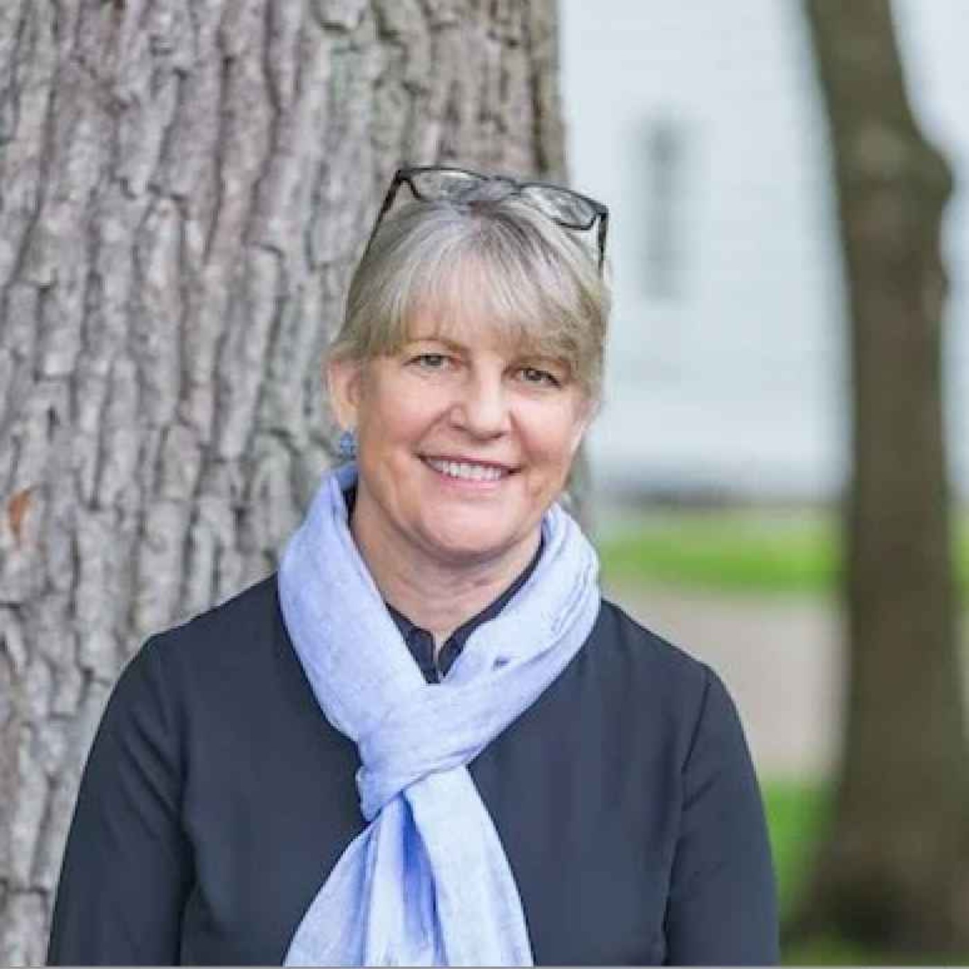 Bringing A Forest Back To Bridgeport