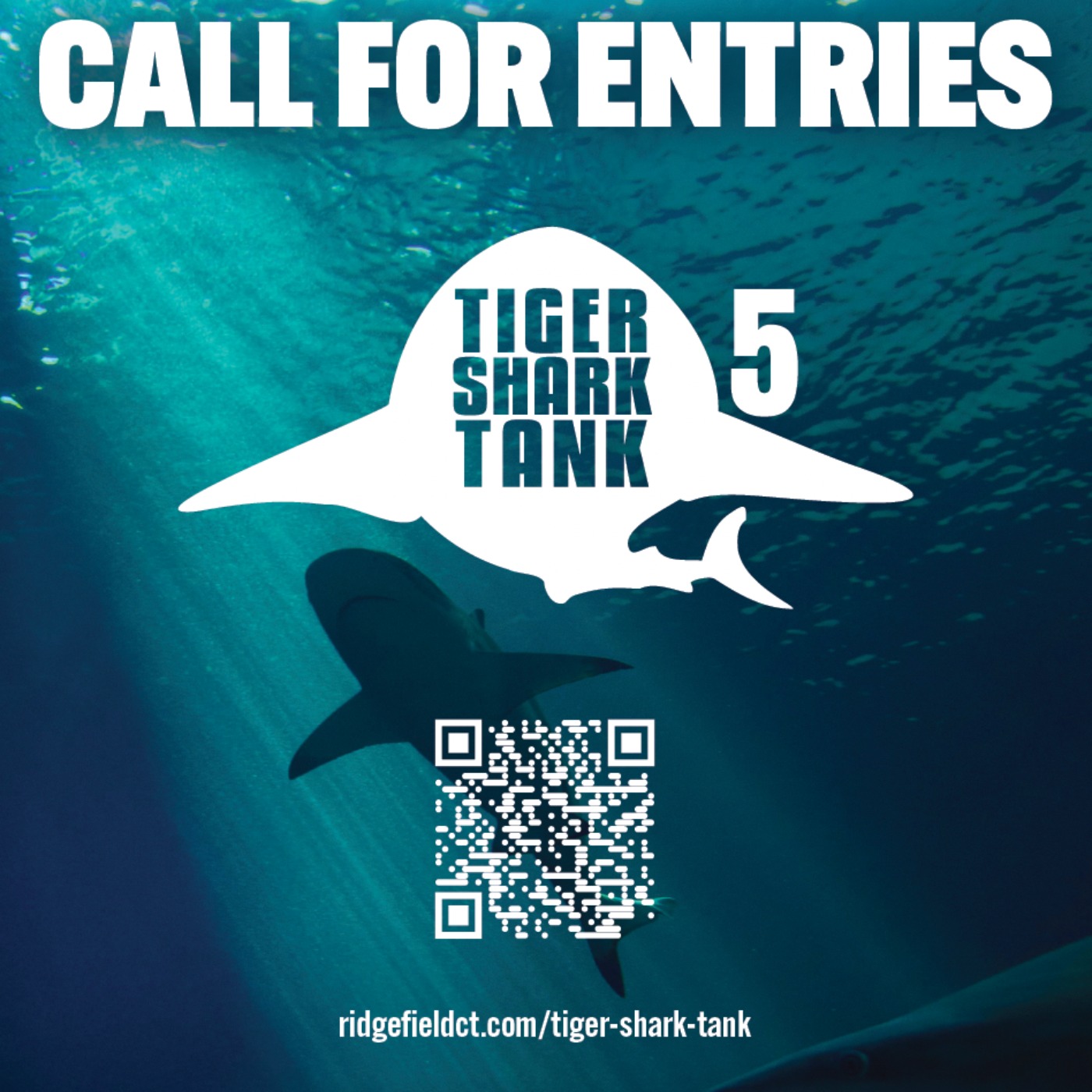 Tiger Shark Tank 5 Is Open: How to Apply & Win