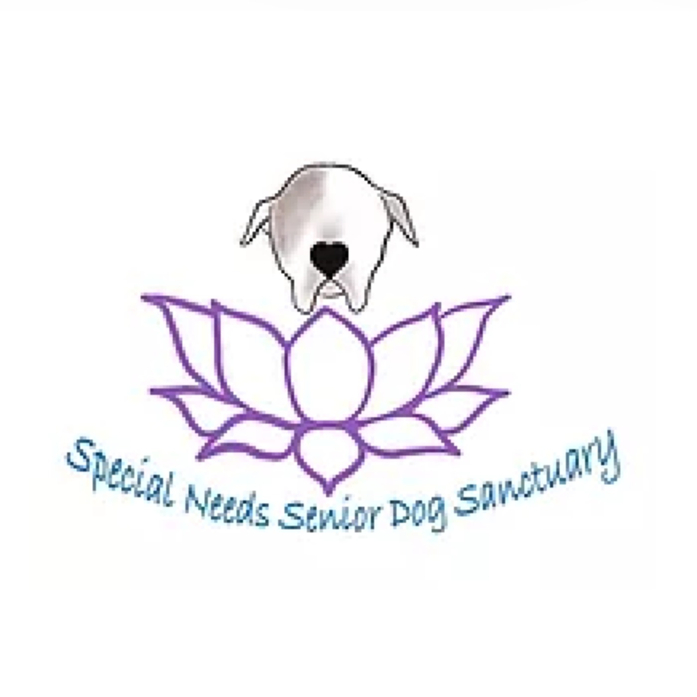 Saving Connecticut’s Special Needs Senior Dogs After Devastating Flood episode artwork