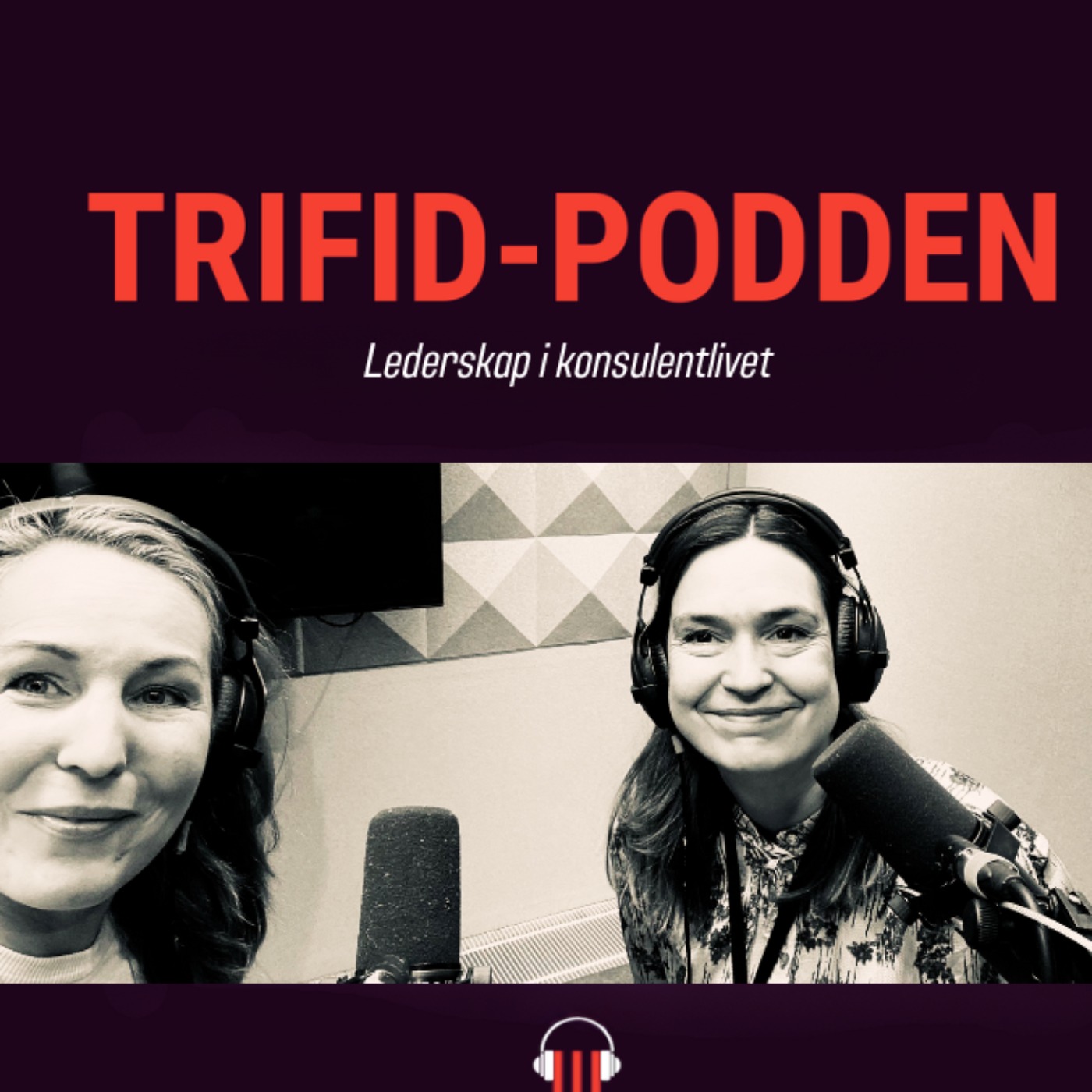 #9 Lederskap i konsulentlivet