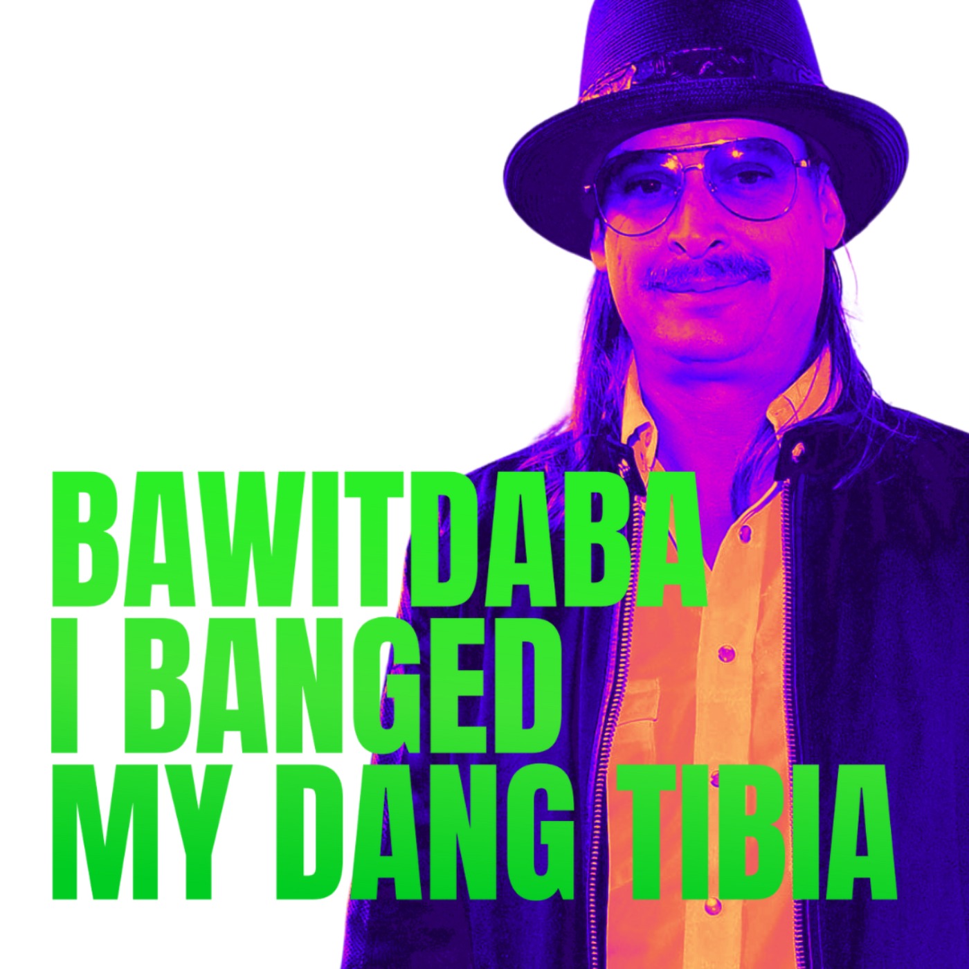 cover art for Bawitdaba I Banged My Dang Tibia