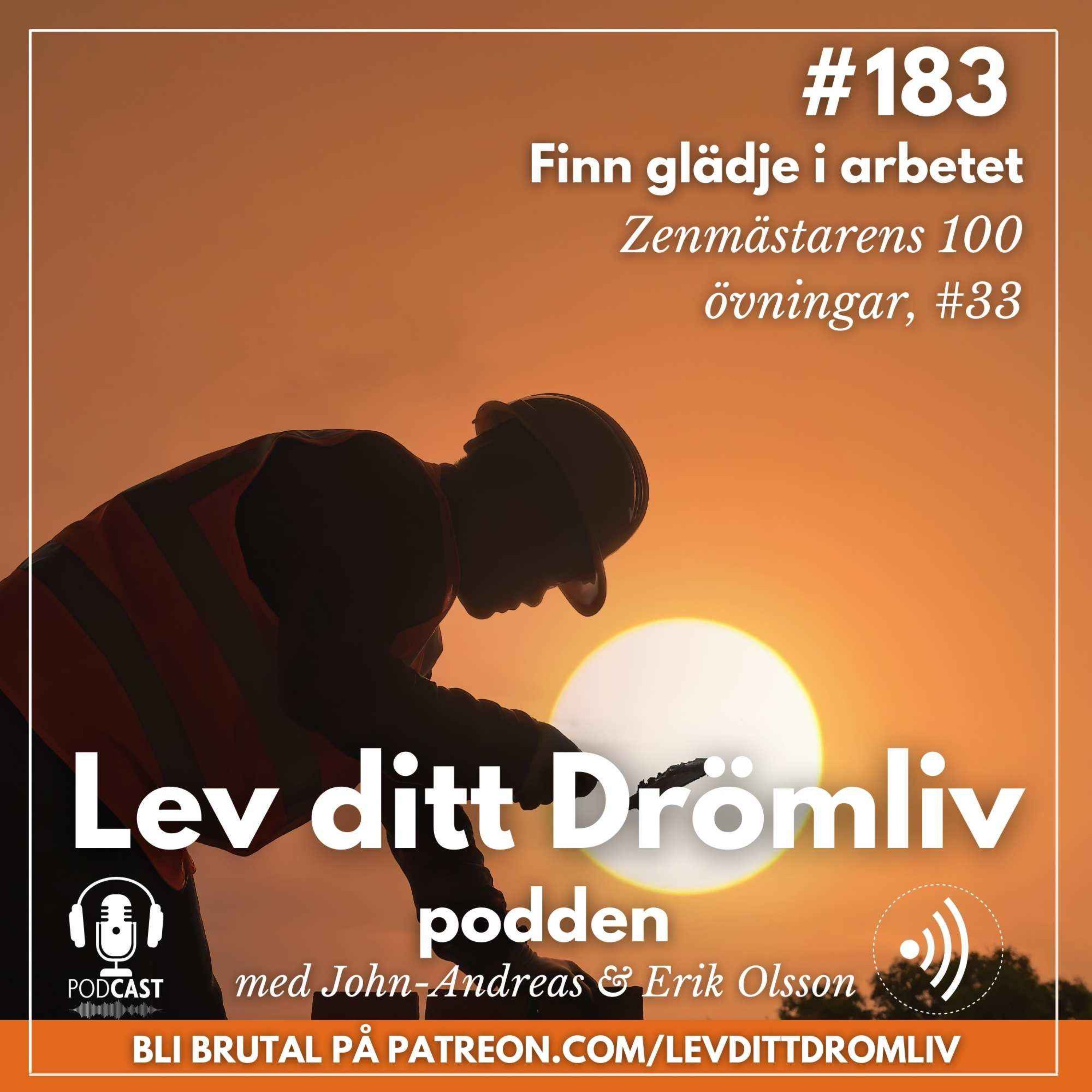 Avsnitt #183 Finn glädje i arbetet - Lev ditt Drömliv bild bild