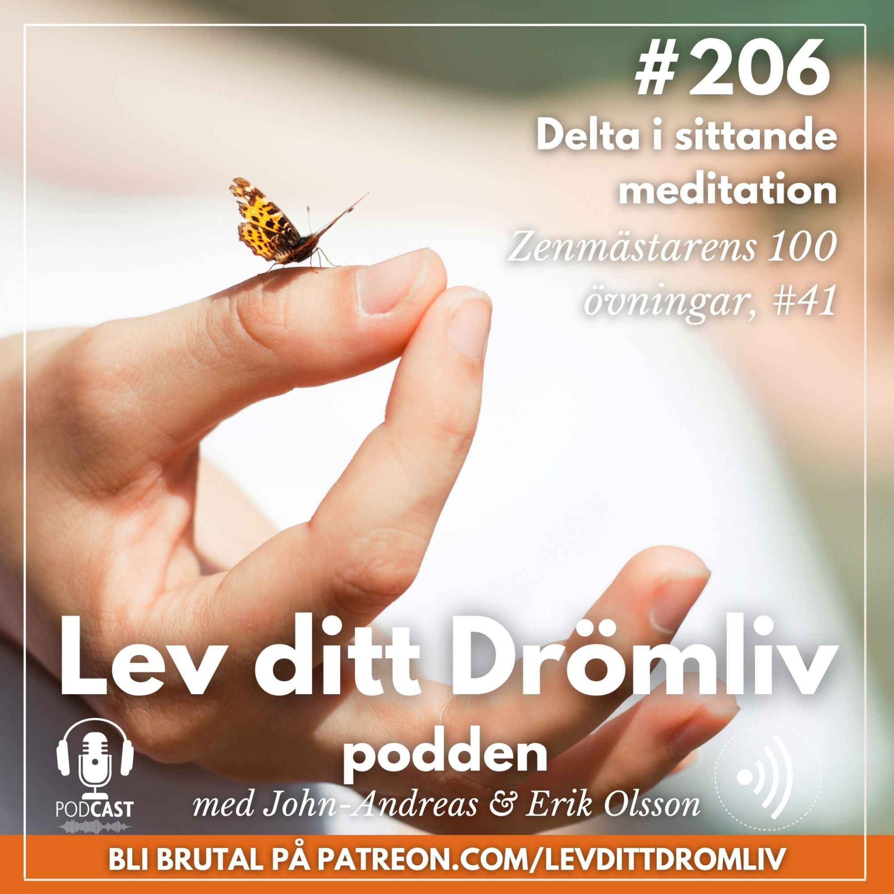 Avsnitt #206: Delta i sittande meditation