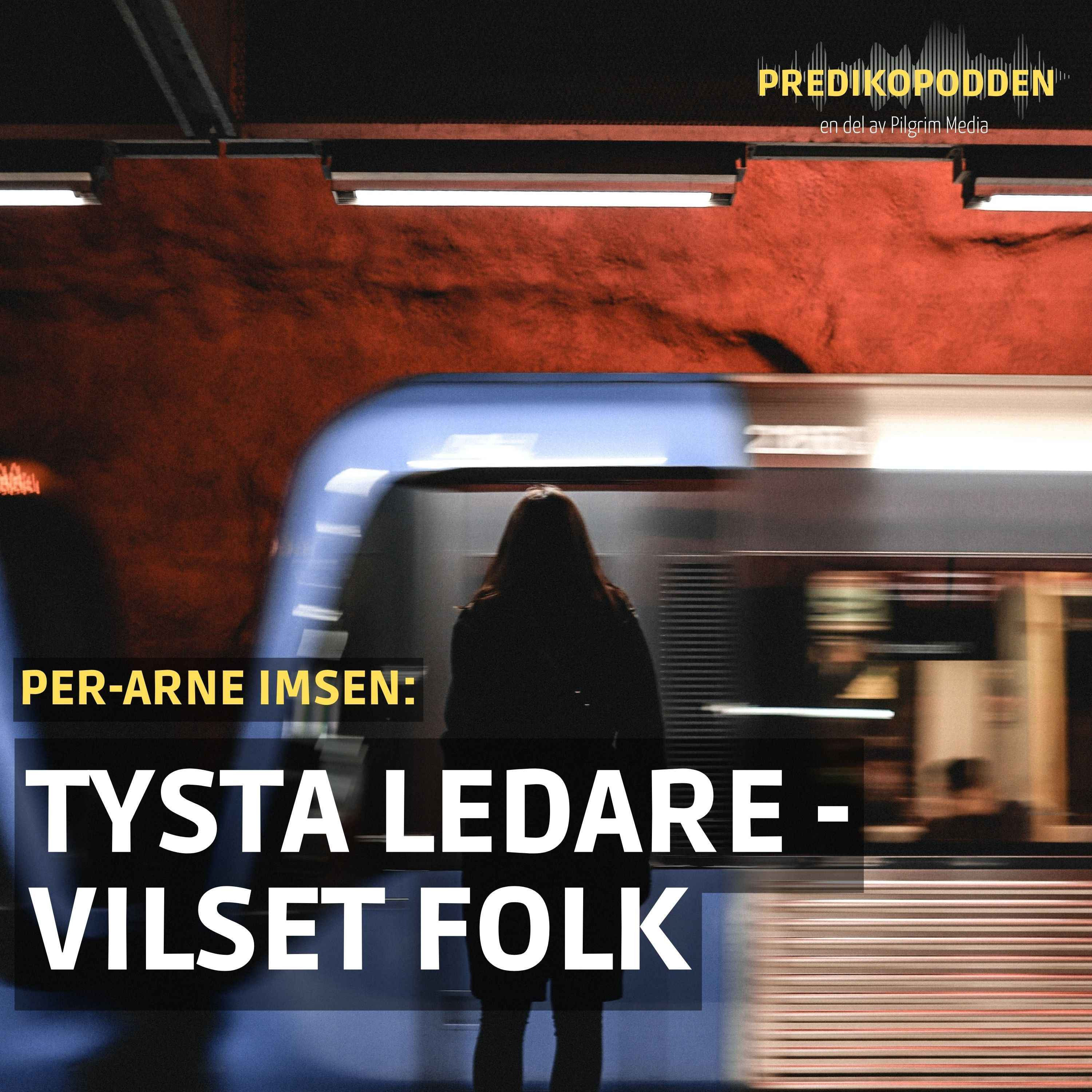 Tysta ledare, vilset folk - Per-Arne Imsen