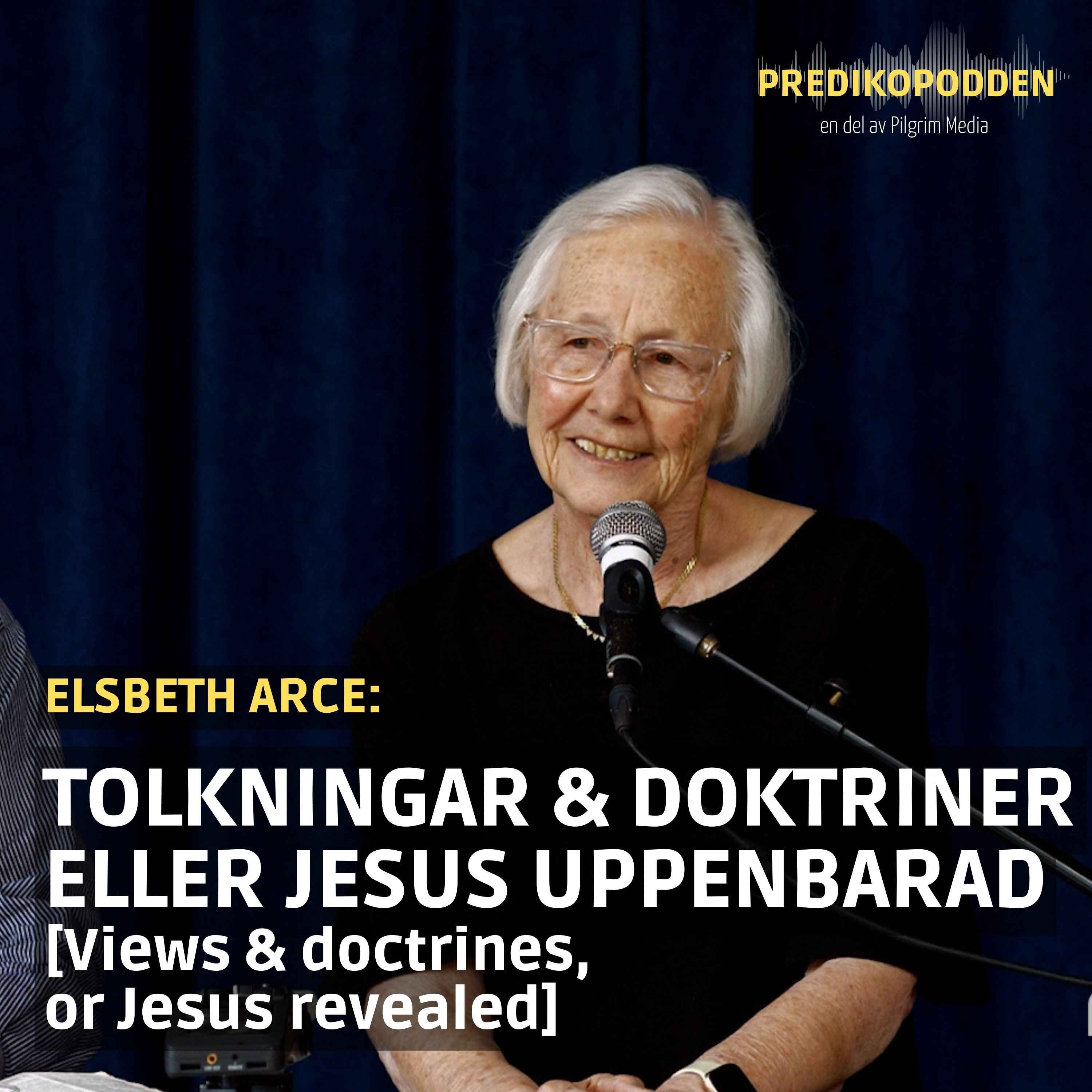Predikopodden