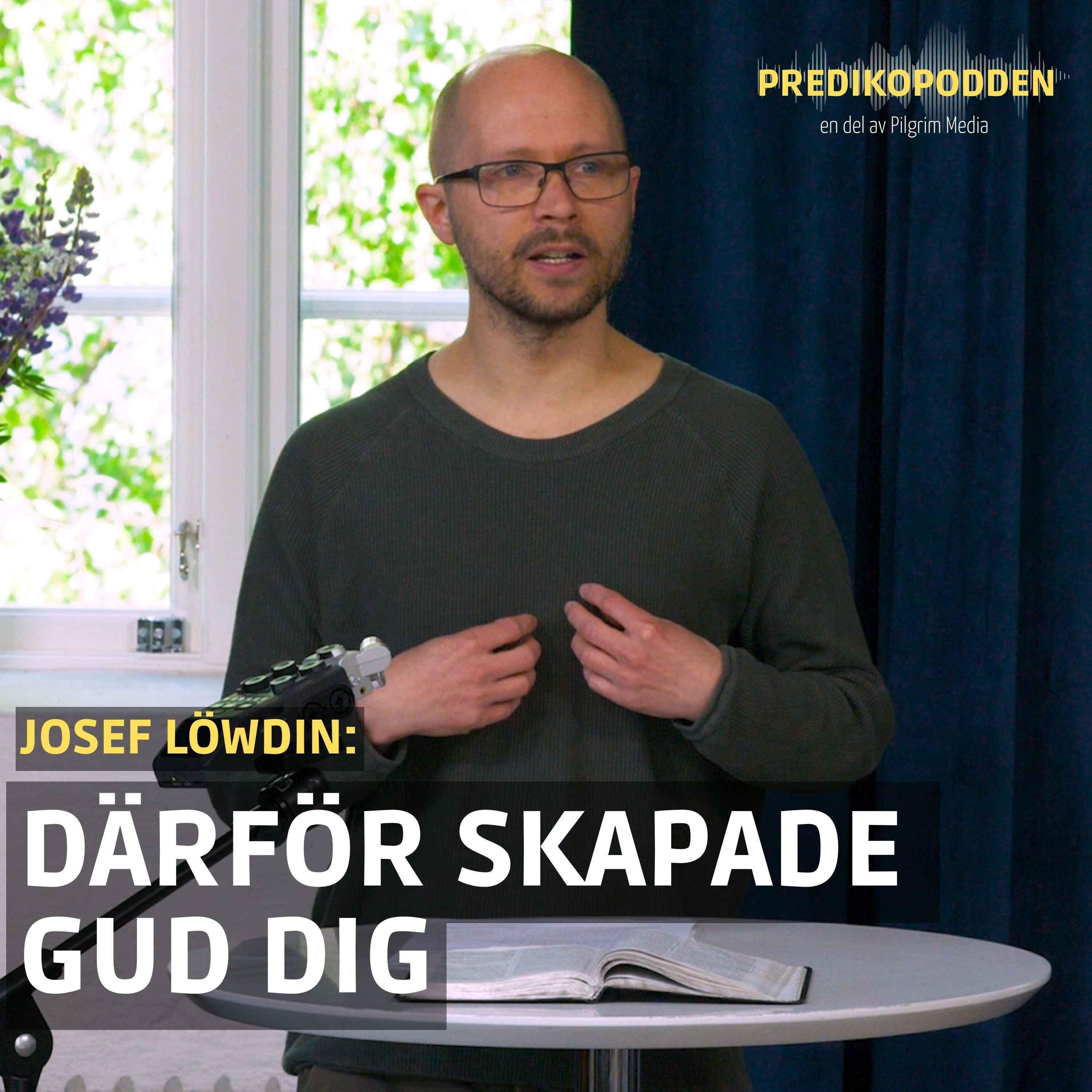 Därför skapade Gud dig - Josef Löwdin
