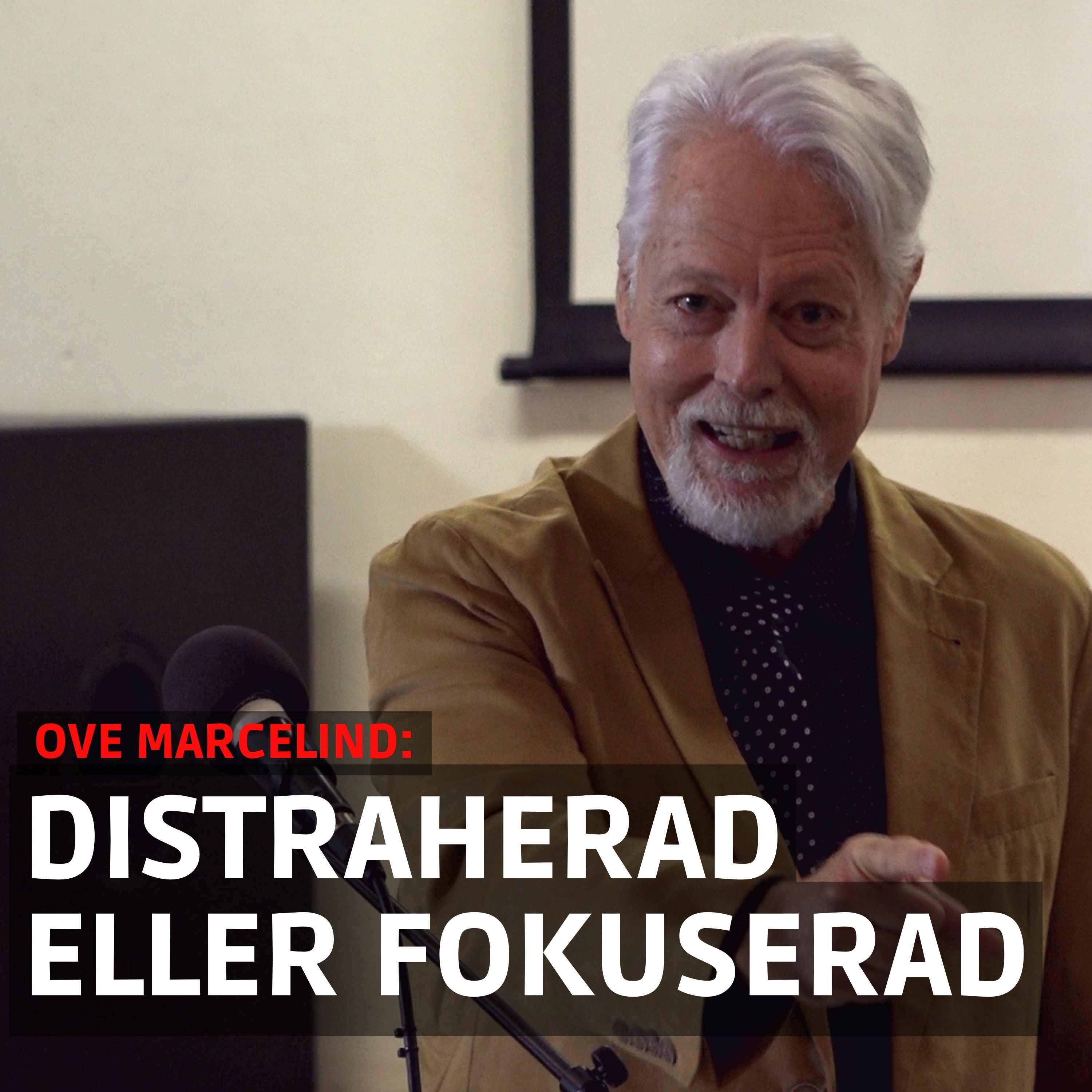 Distraherad eller fokuserad - Ove Marcelind