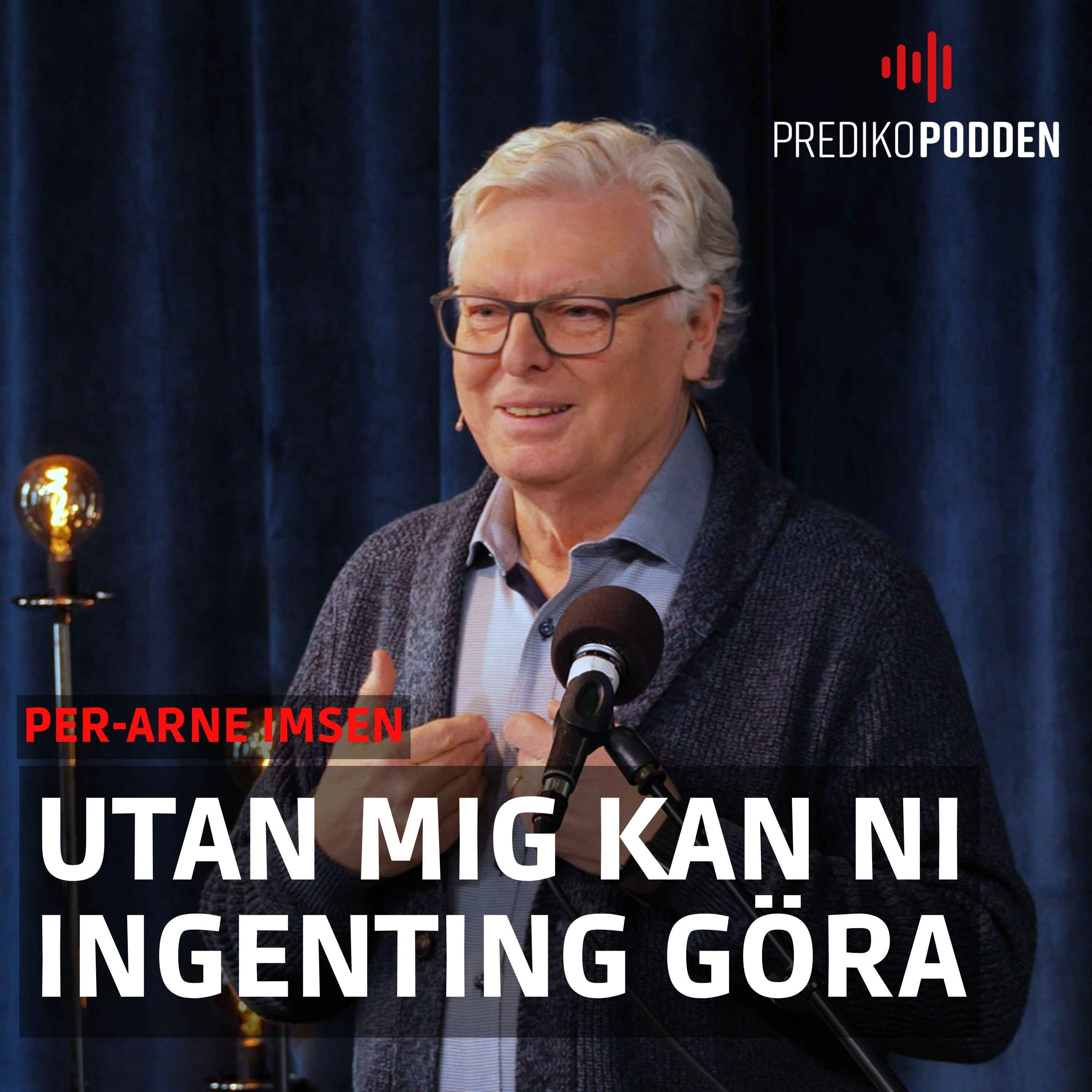 Utan mig kan ni ingenting göra - Per-Arne Imsen