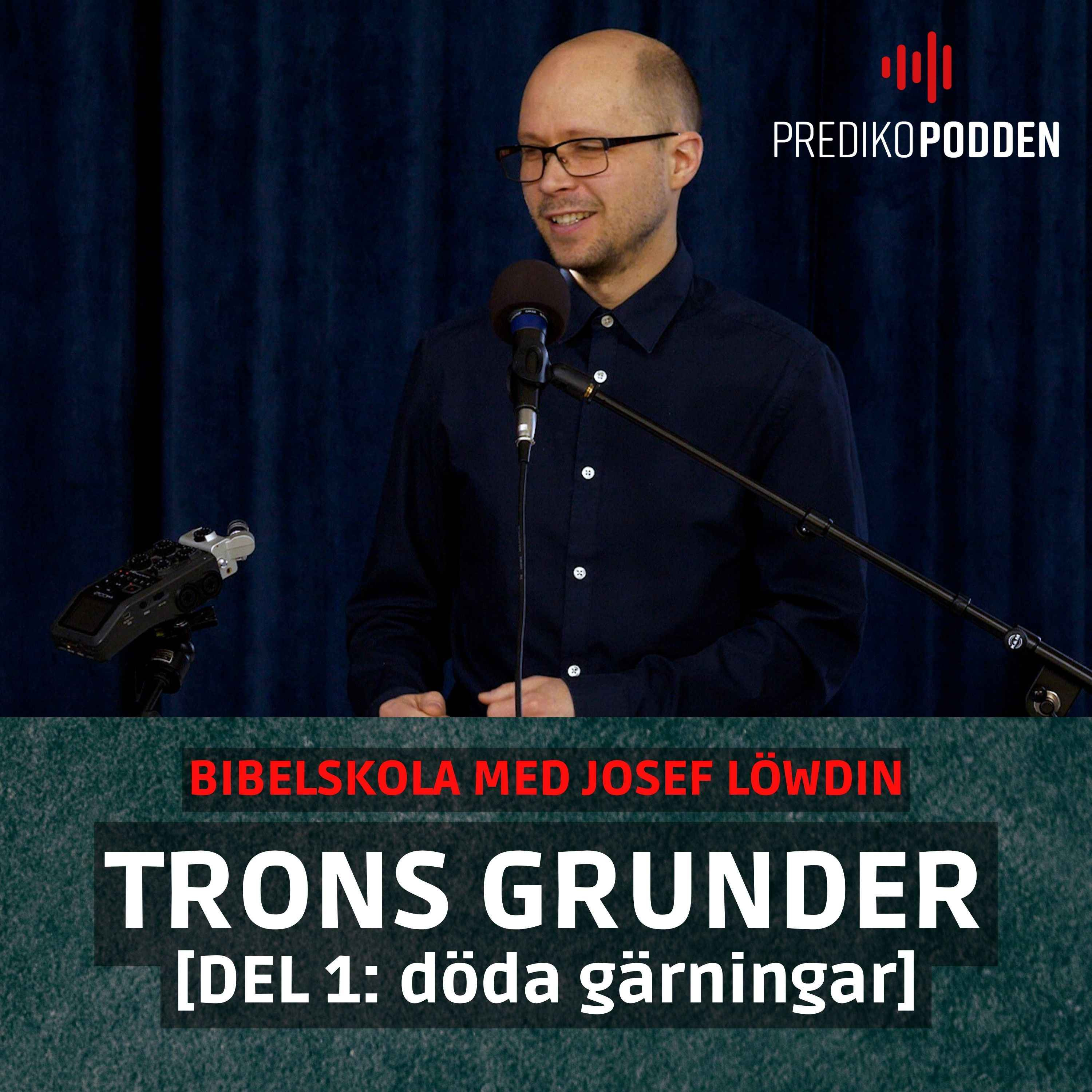 Trons grunder - Del 1 - Josef Löwdin