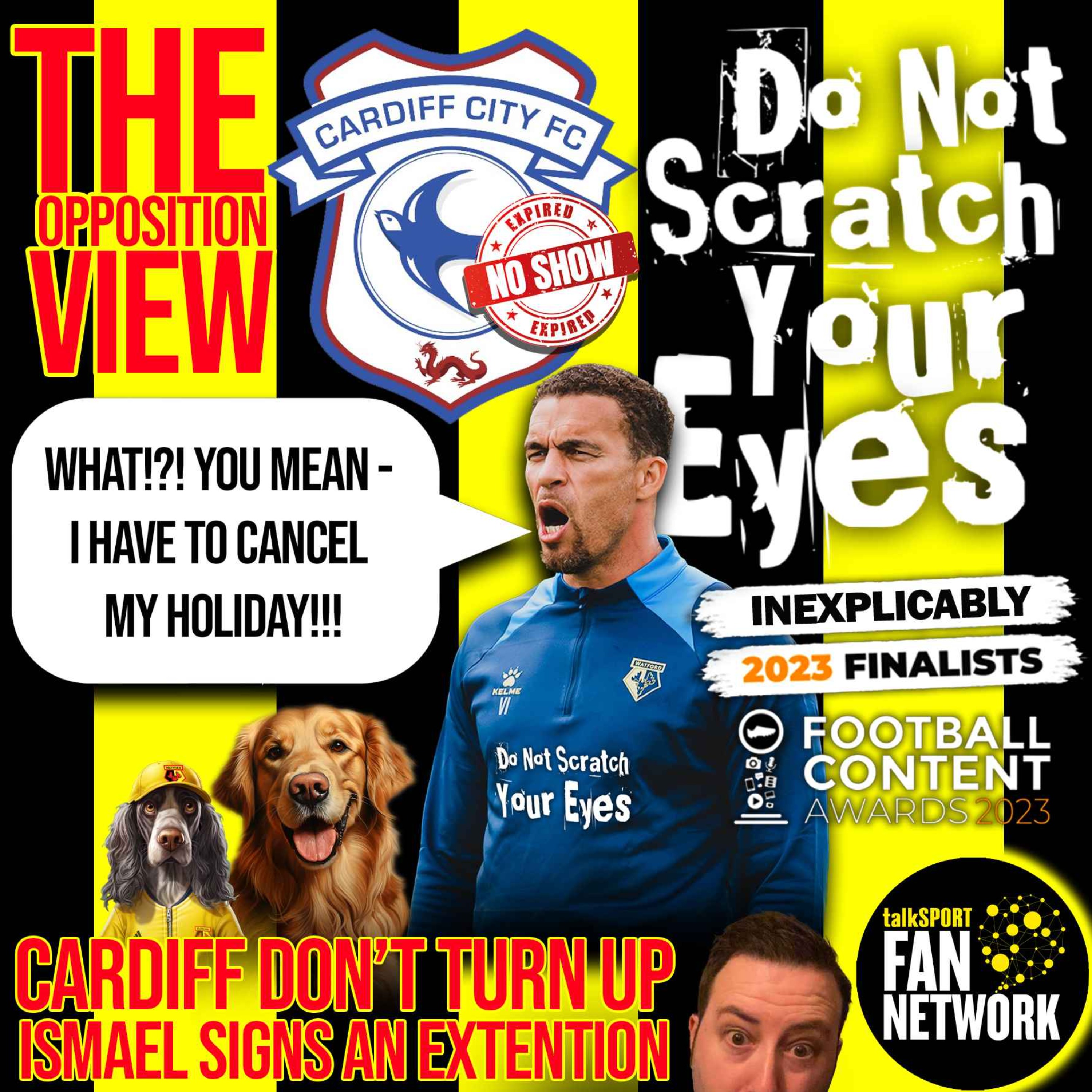 THE OPPOSITION VIEW - Cardiff City (Away) thumbnail