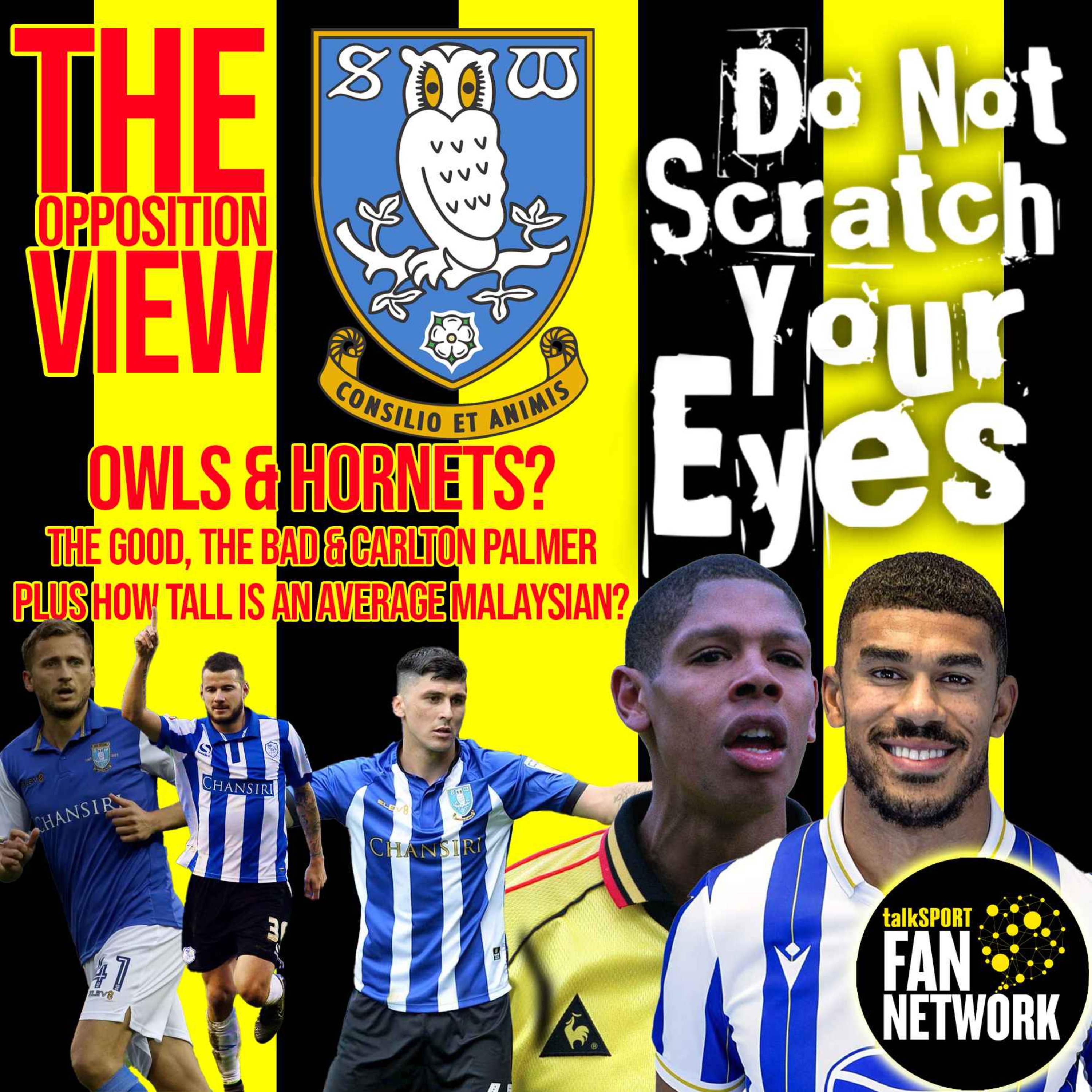 THE OPPOSITION VIEW - Sheffield Wednesday (Home) thumbnail