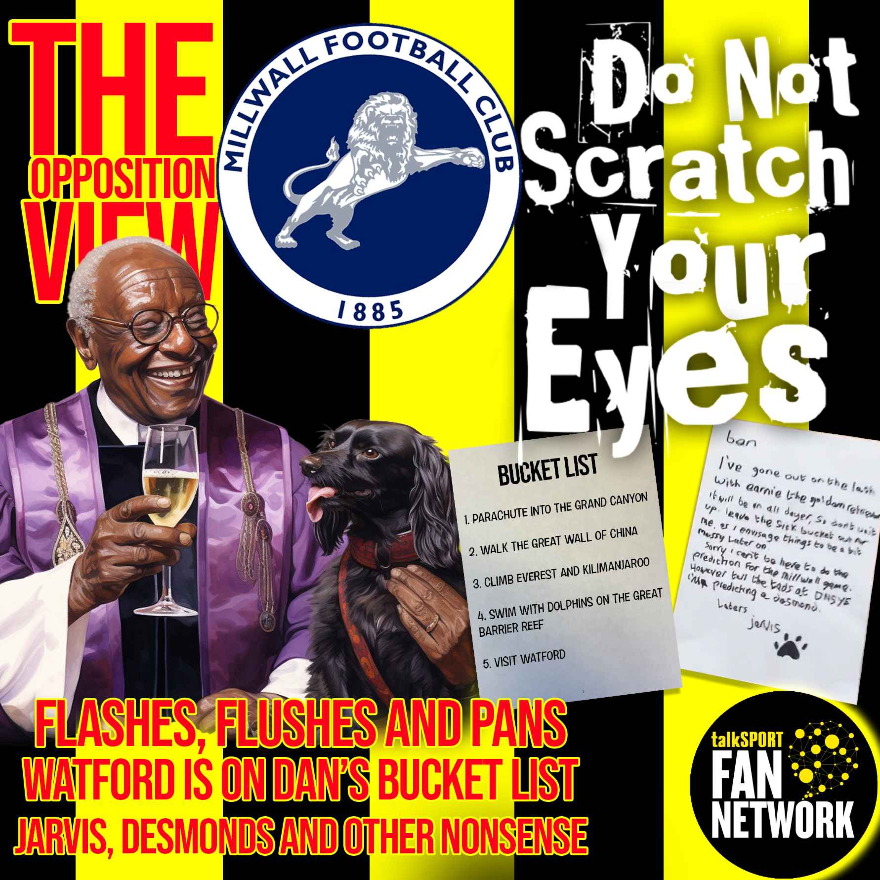 THE OPPOSITION VIEW - Millwall (Home) thumbnail