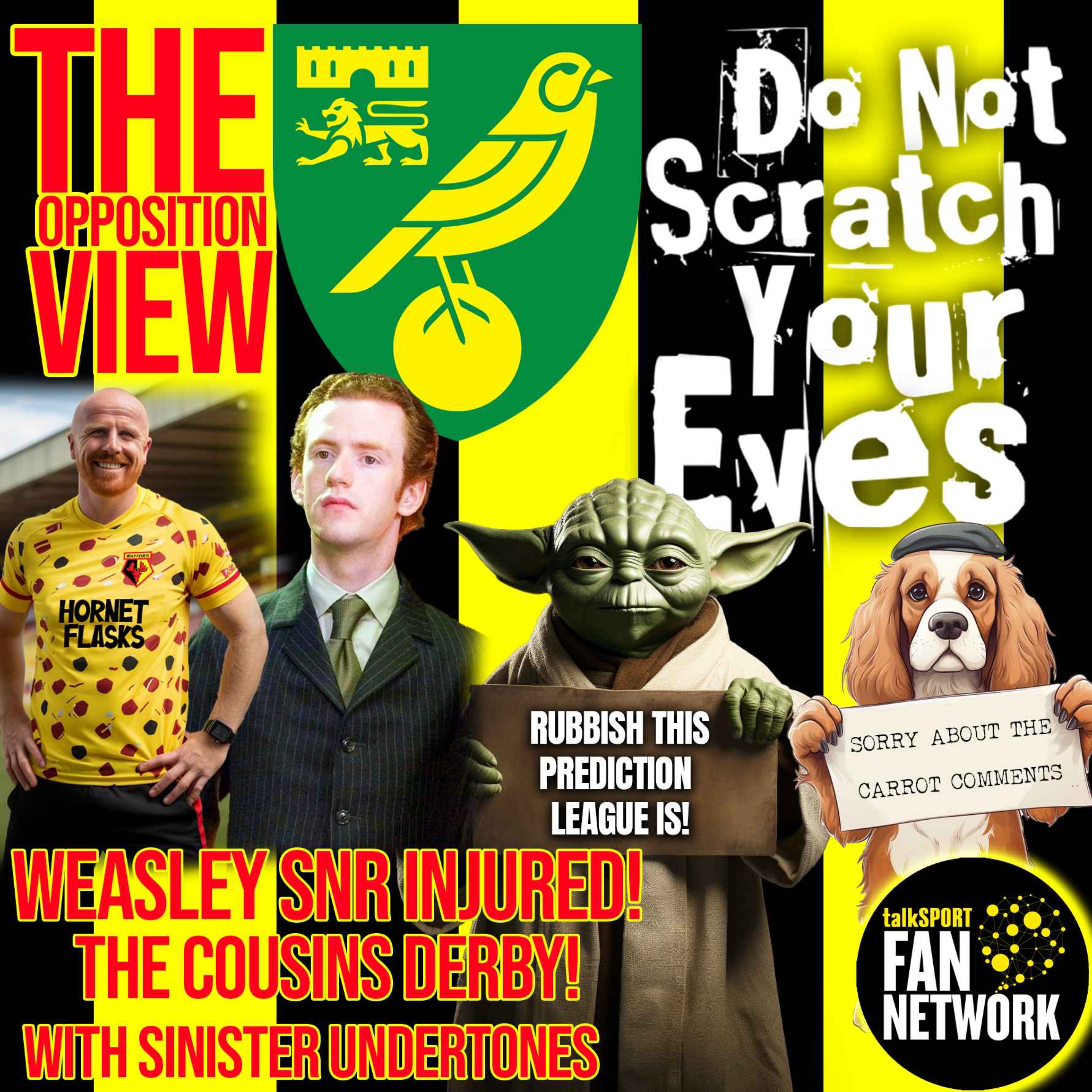 THE OPPOSITION VIEW - Norwich City (Home) thumbnail