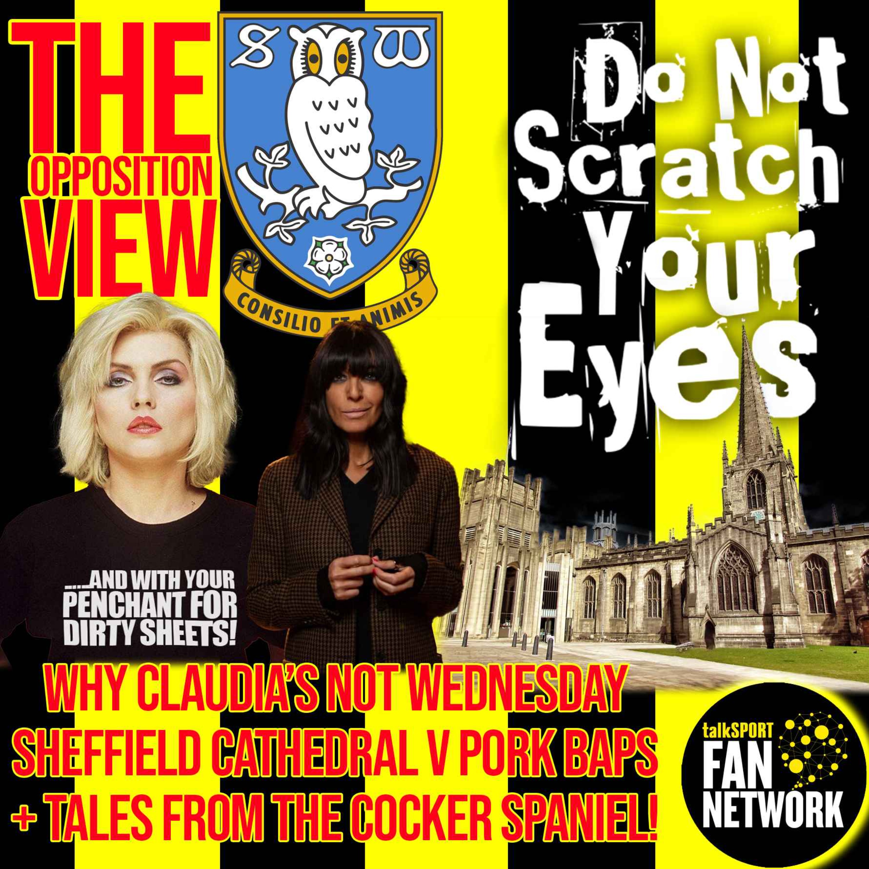 THE OPPOSITION VIEW - Sheffield Wednesday (Away) thumbnail