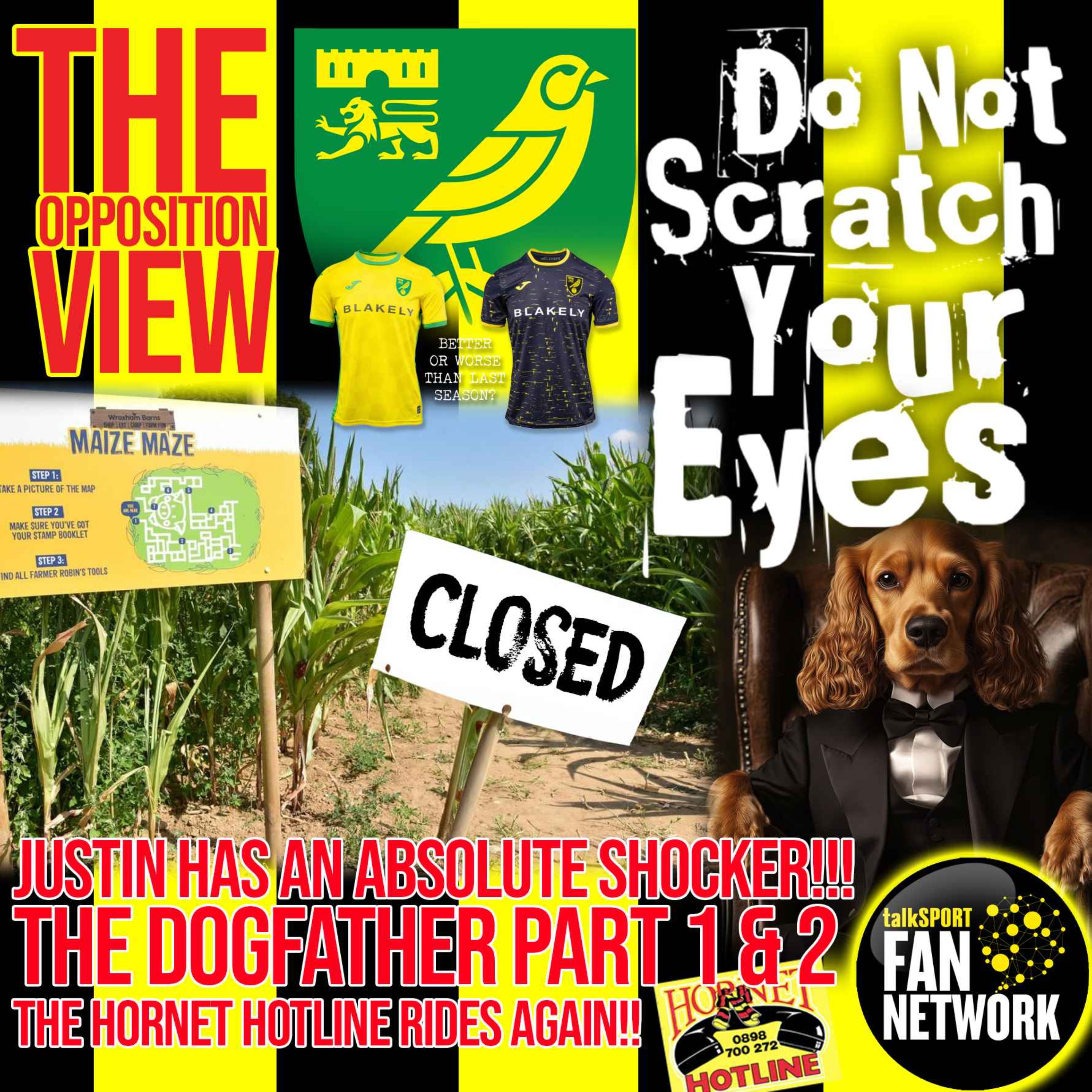 THE OPPOSITION VIEW - NORWICH CITY (AWAY) thumbnail