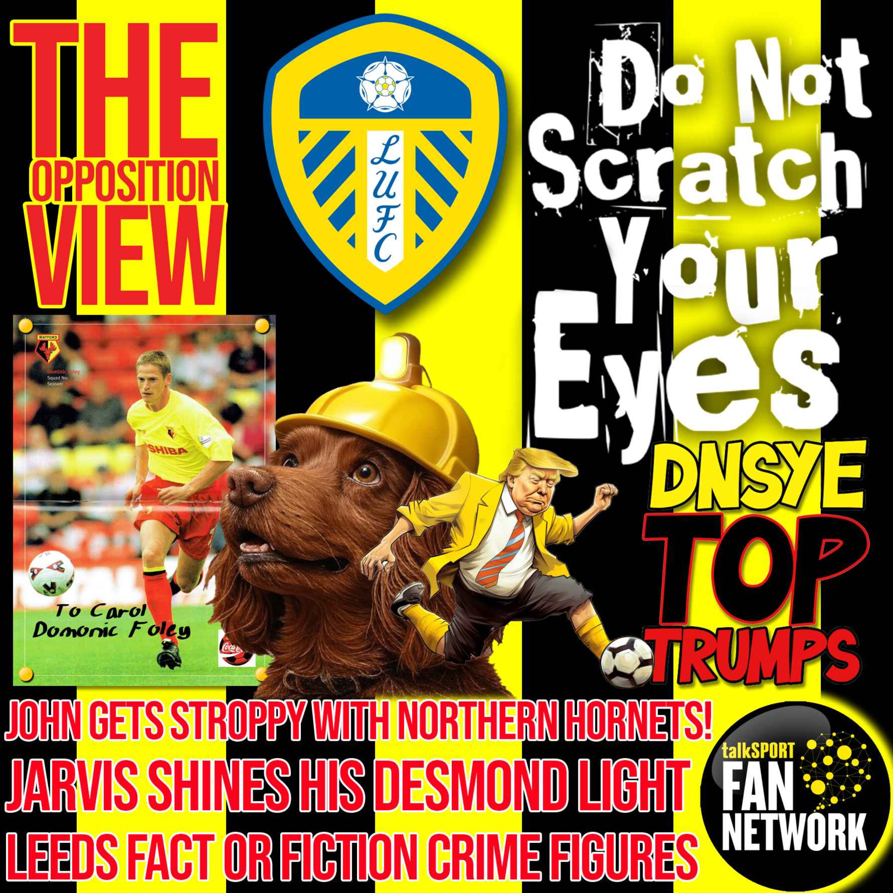 THE OPPOSITION VIEW - Leeds United (Home) thumbnail