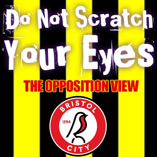 cover art for The Opposition View - Bristol City not here yet again!!
