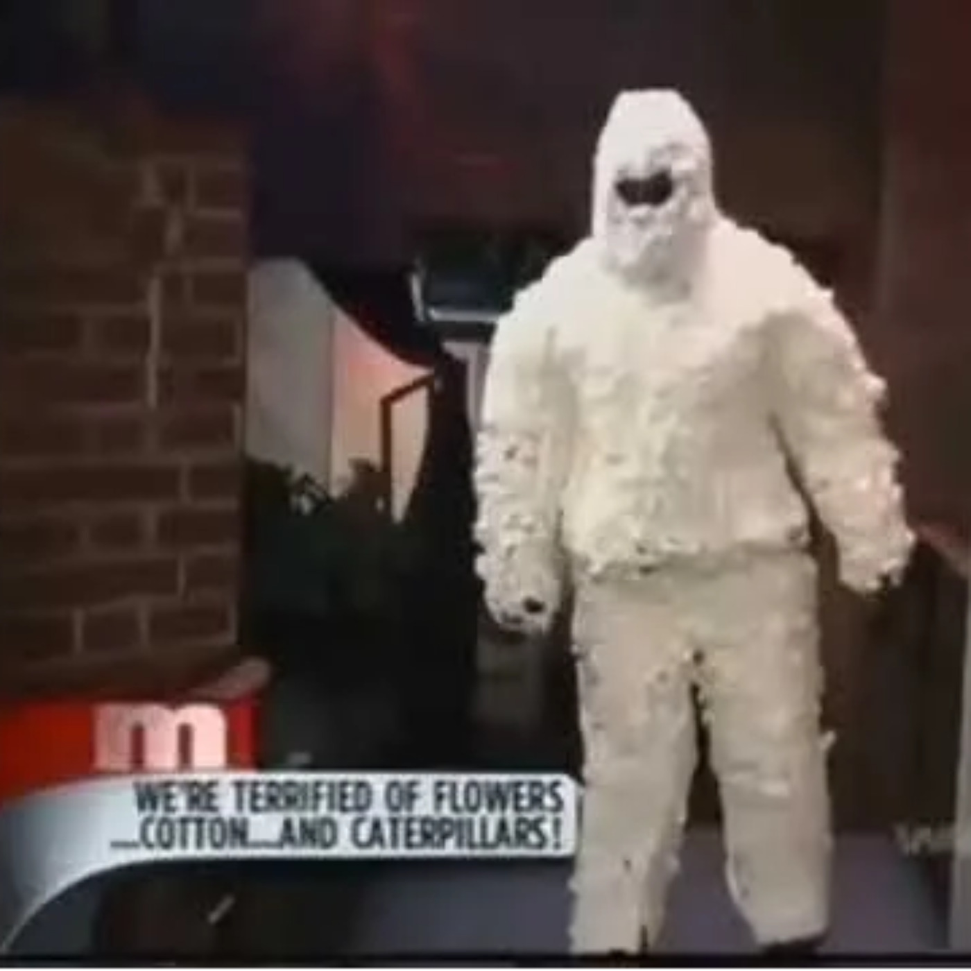 Maury: Weird Phobias! (Part One) Maury: Weird Phobias! (Part One)